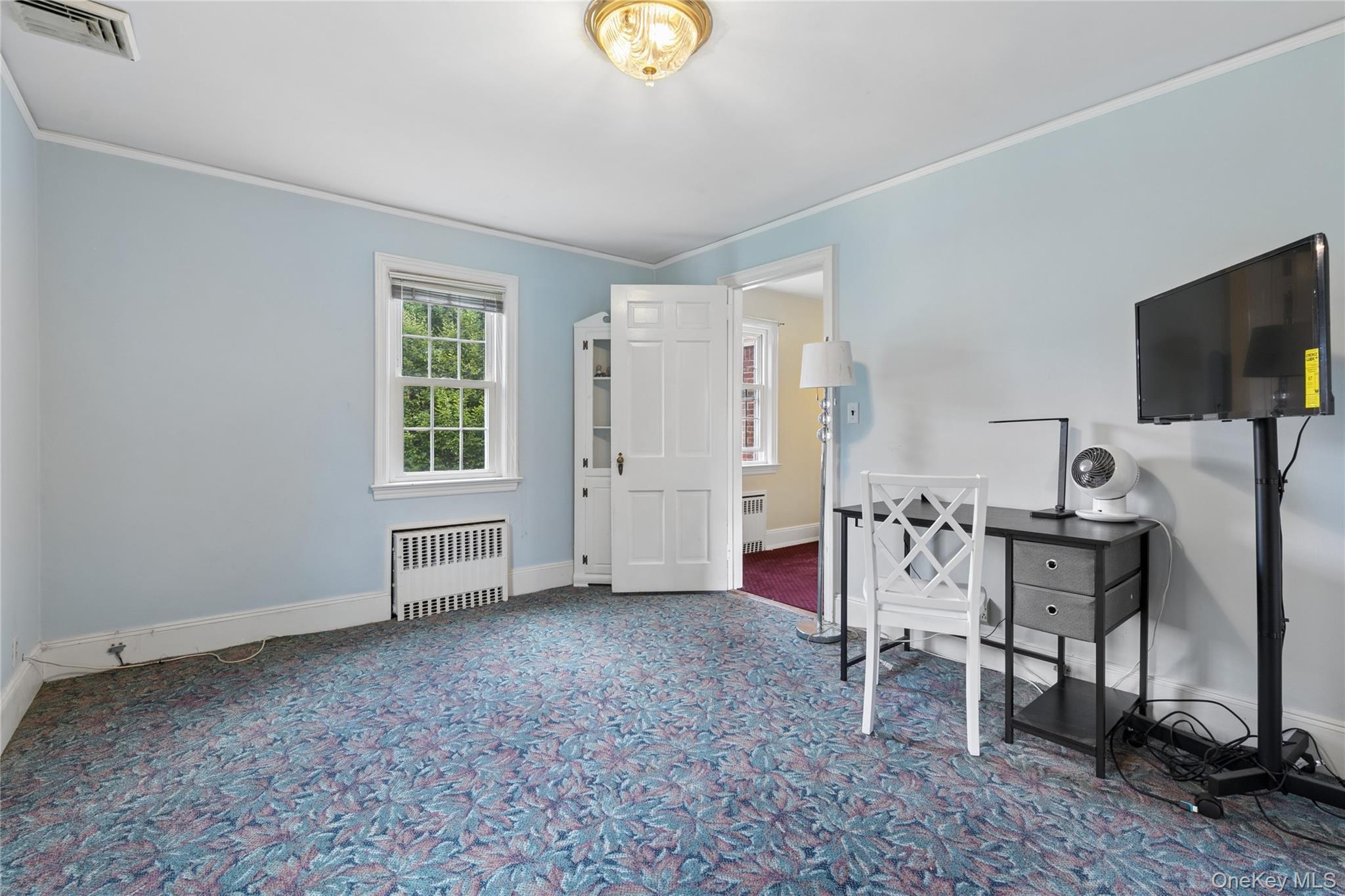 Single Family Westminster Road  Nassau County, NY 11552, MLS-1032427-41