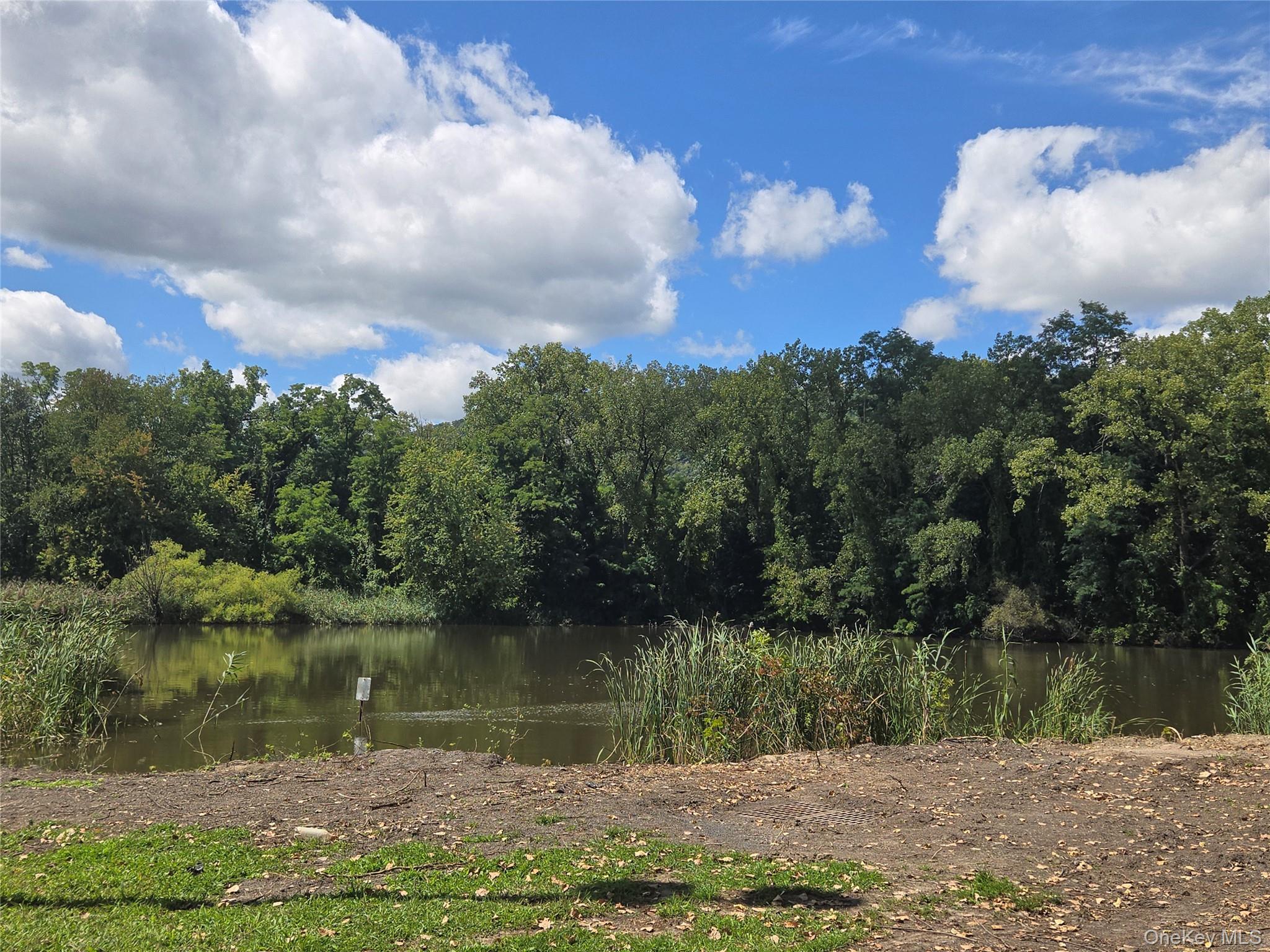 Single Family Myrtle Avenue  Orange County, NY 12553, MLS-1032433-25