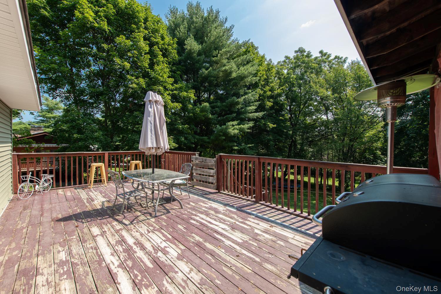 Single Family Lakeview Court Dutchess County, NY 12603, MLS-1032439-25
