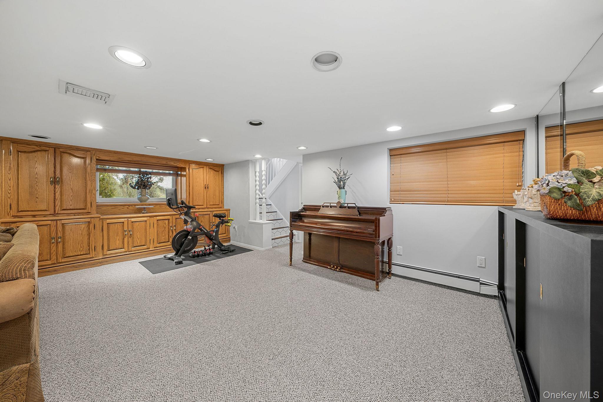Single Family Cortland Avenue  Nassau County, NY 11753, MLS-1032453-22