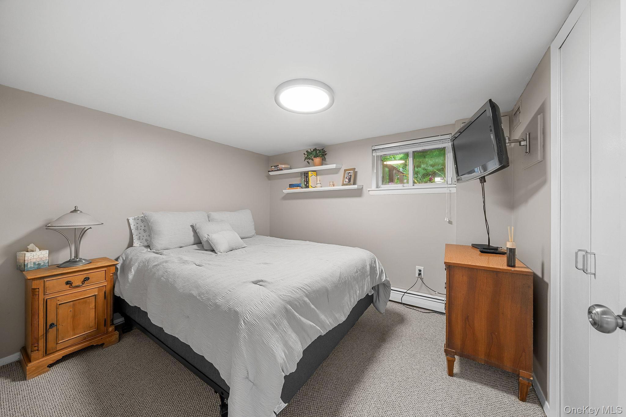 Single Family Cortland Avenue  Nassau County, NY 11753, MLS-1032453-23