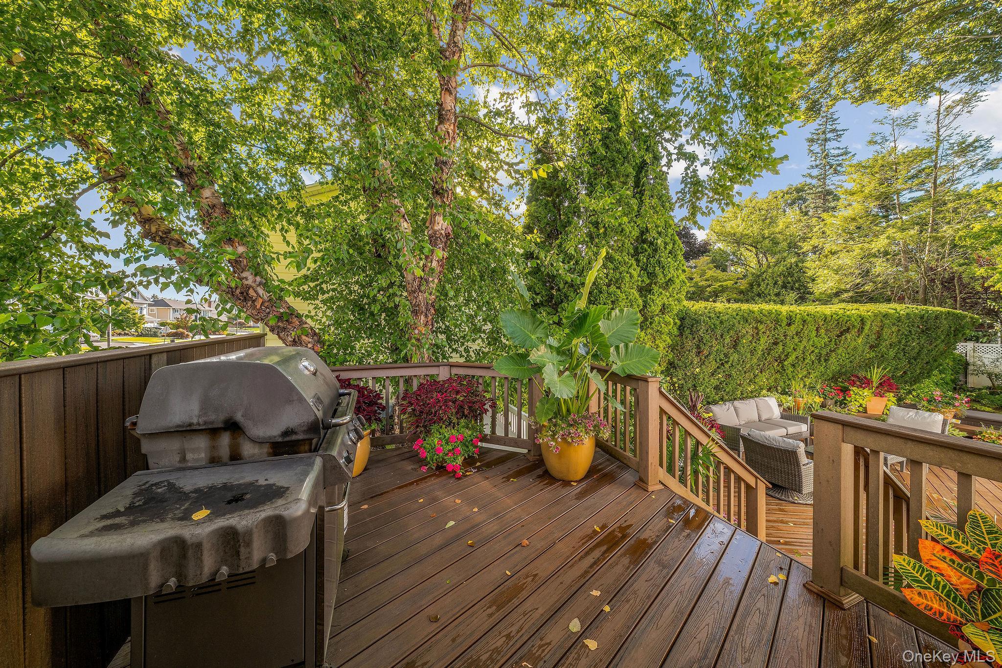 Single Family Cortland Avenue  Nassau County, NY 11753, MLS-1032453-27