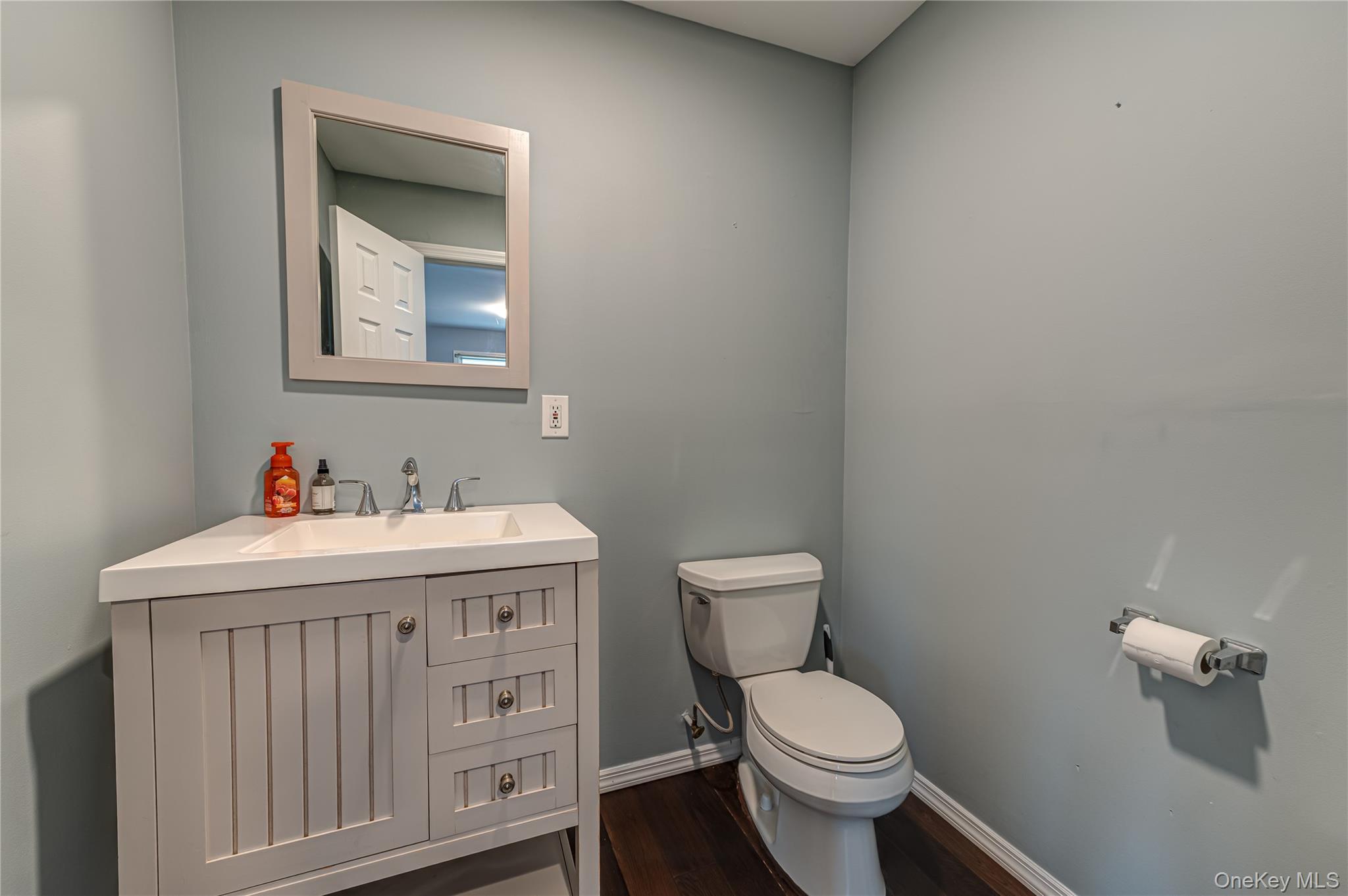 Single Family West Boulevard  Nassau County, NY 11518, MLS-1032503-13