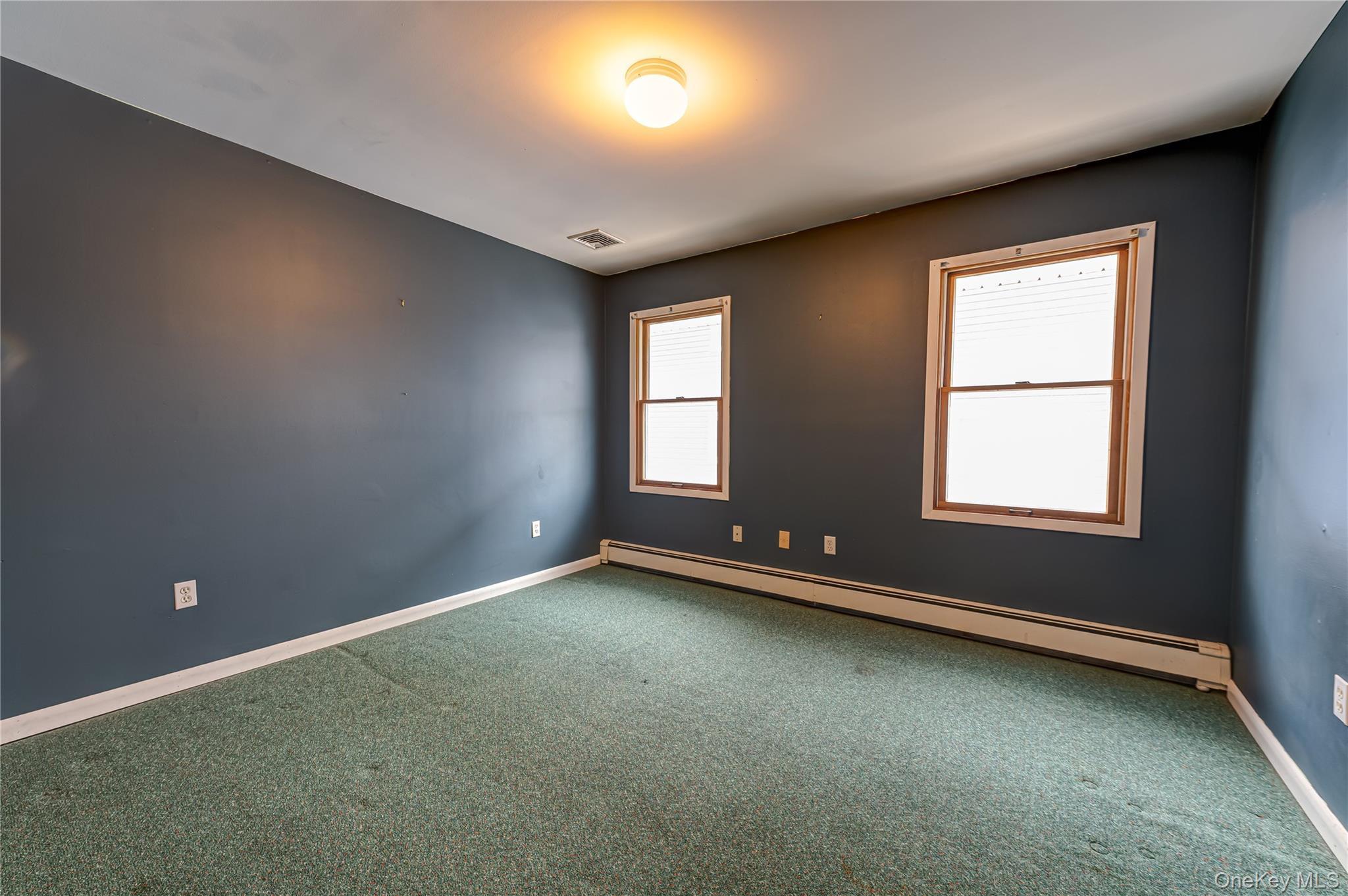 Single Family West Boulevard  Nassau County, NY 11518, MLS-1032503-20