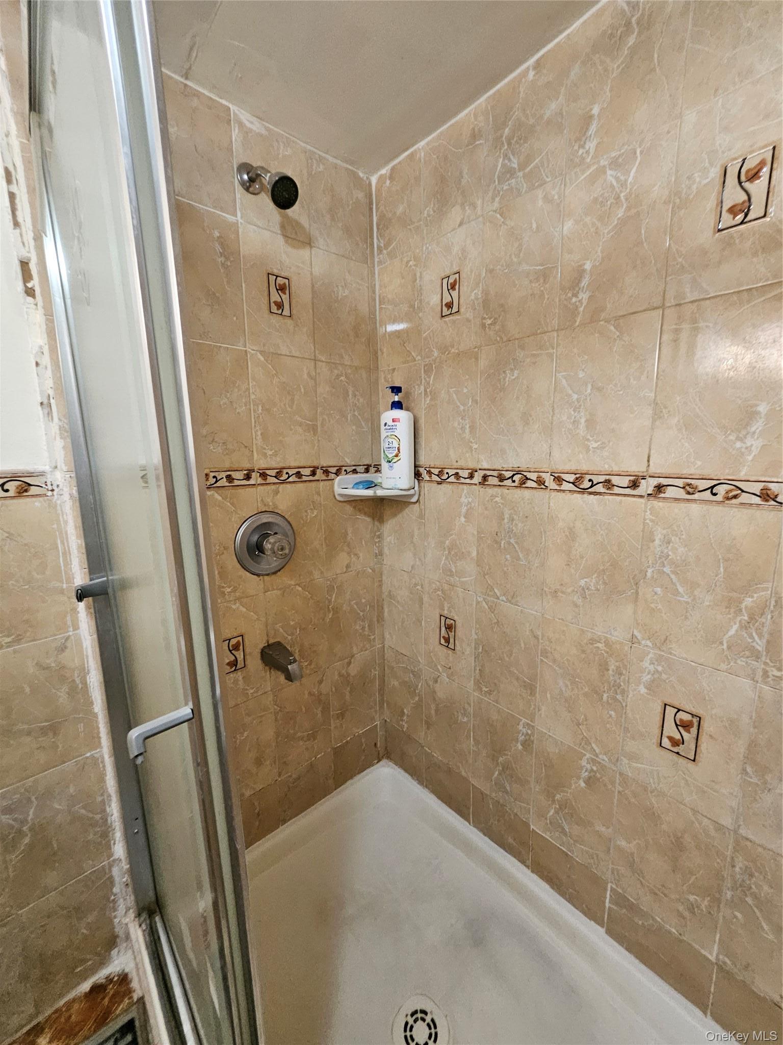 Single Family 251st Street Queens, NY 11426, MLS-1032529-29