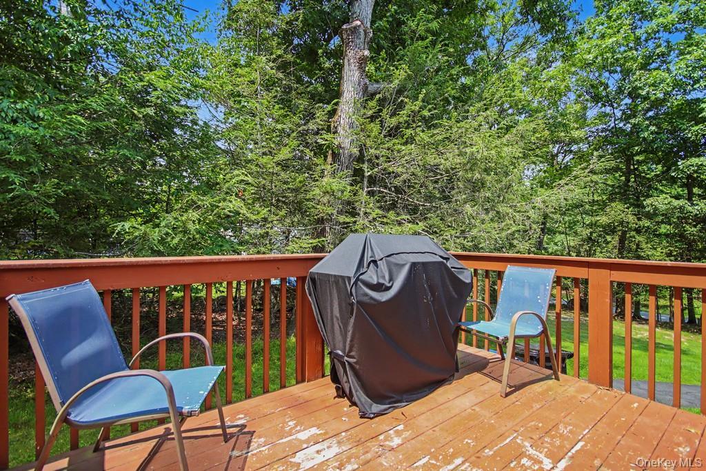Single Family Rock Hill Drive  Sullivan County, NY 12775, MLS-1032559-10