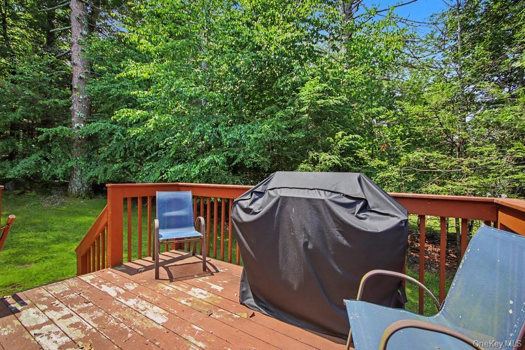 Single Family Rock Hill Drive  Sullivan County, NY 12775, MLS-1032559-11