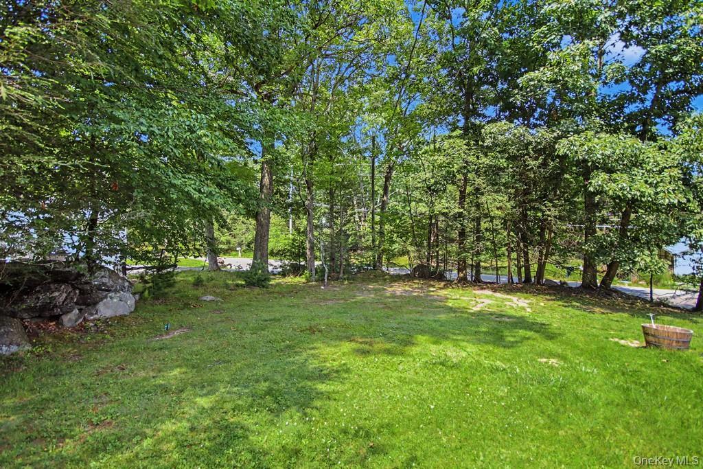 Single Family Rock Hill Drive  Sullivan County, NY 12775, MLS-1032559-13