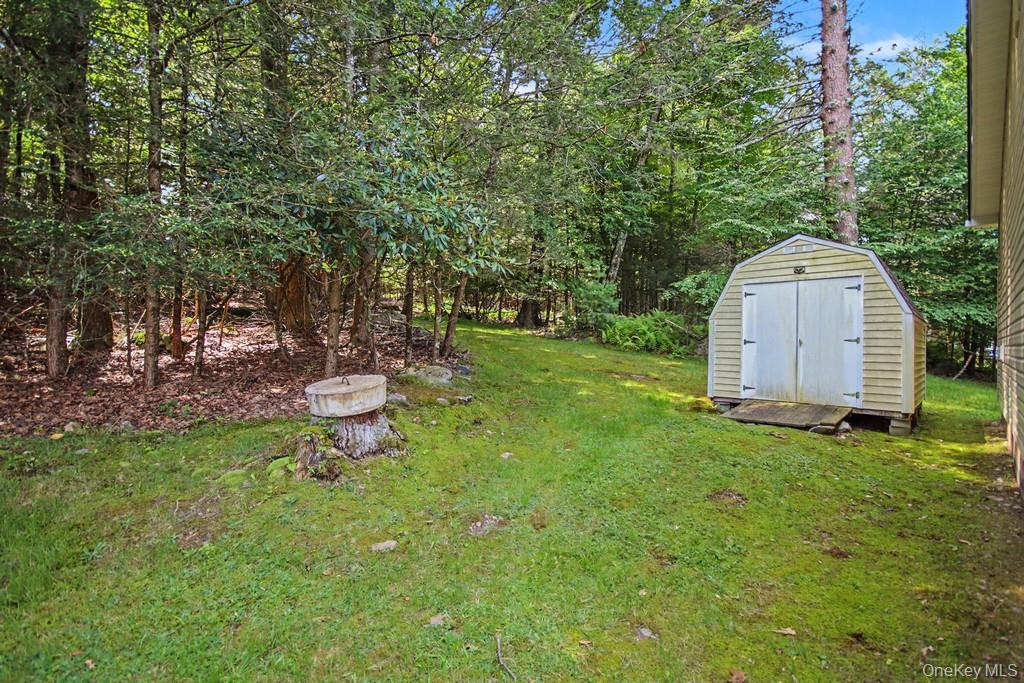 Single Family Rock Hill Drive  Sullivan County, NY 12775, MLS-1032559-9