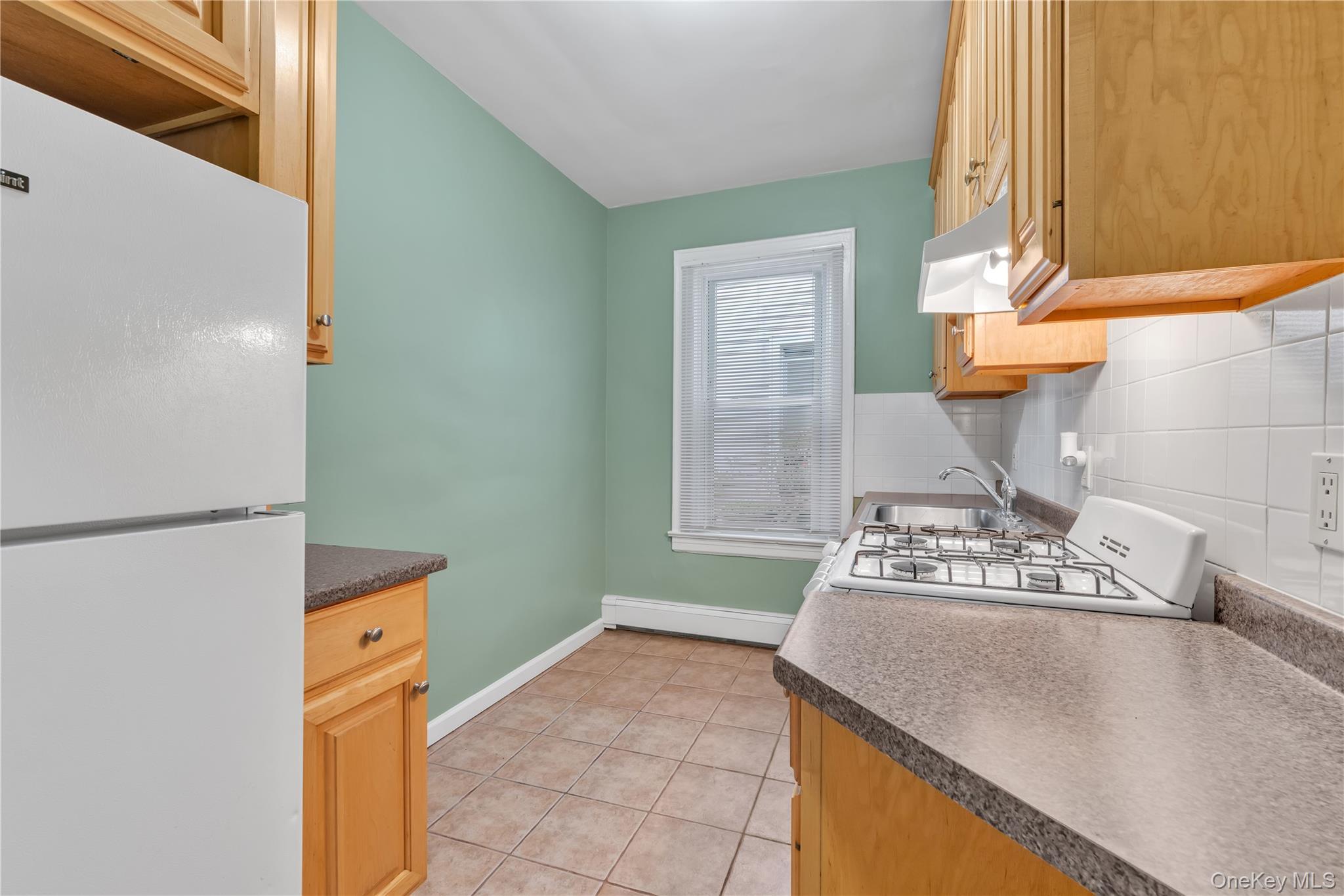 Single Family Jericho Turnpike  Nassau County, NY 11001, MLS-1032624-13