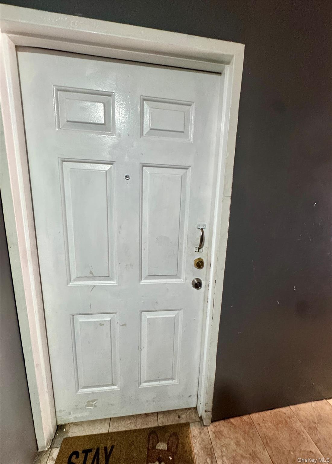 Single Family E 184th Street Bronx, NY 10458, MLS-1032627-8