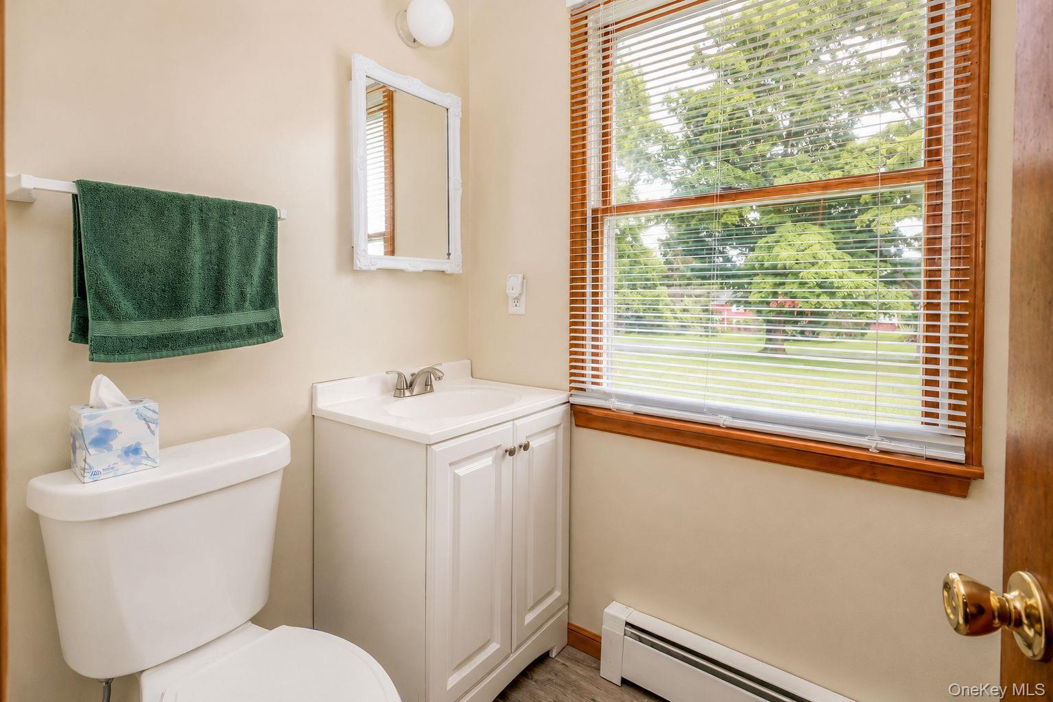 Single Family Schrempp Lane Ulster County, NY 12566, MLS-1032637-13