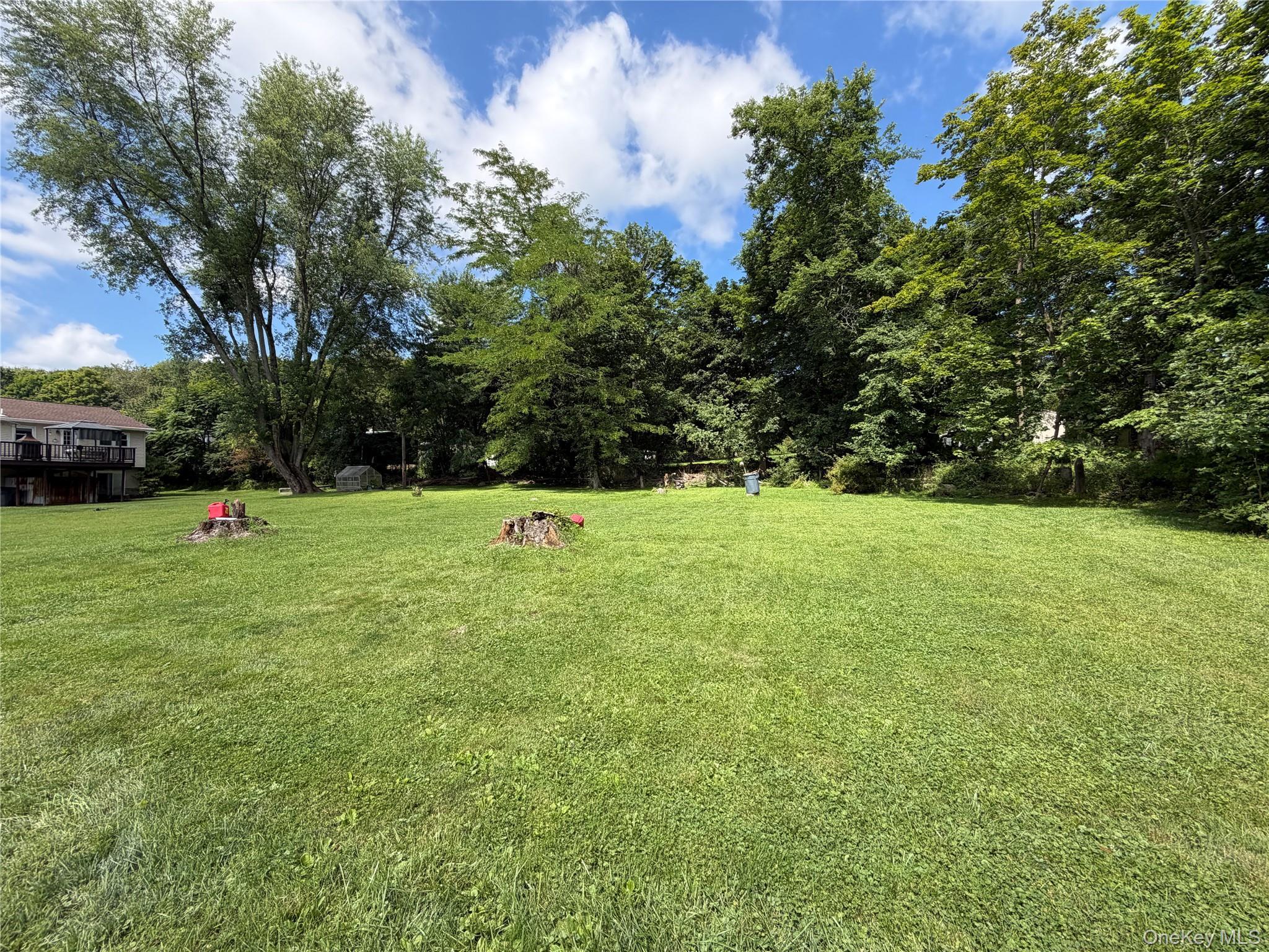 Single Family Hunter Street Orange County, NY 10930, MLS-1032668-29