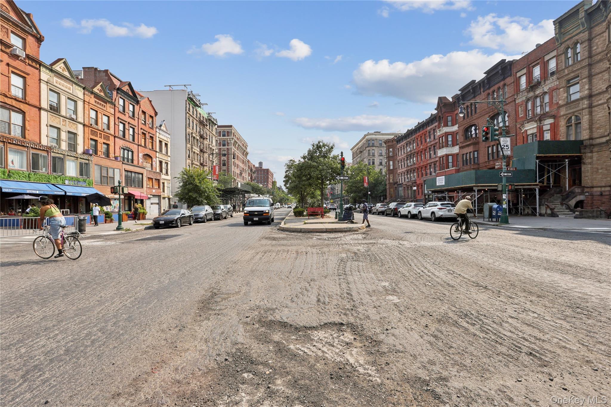Single Family Lenox Avenue Manhattan, NY 10027, MLS-1032679-18