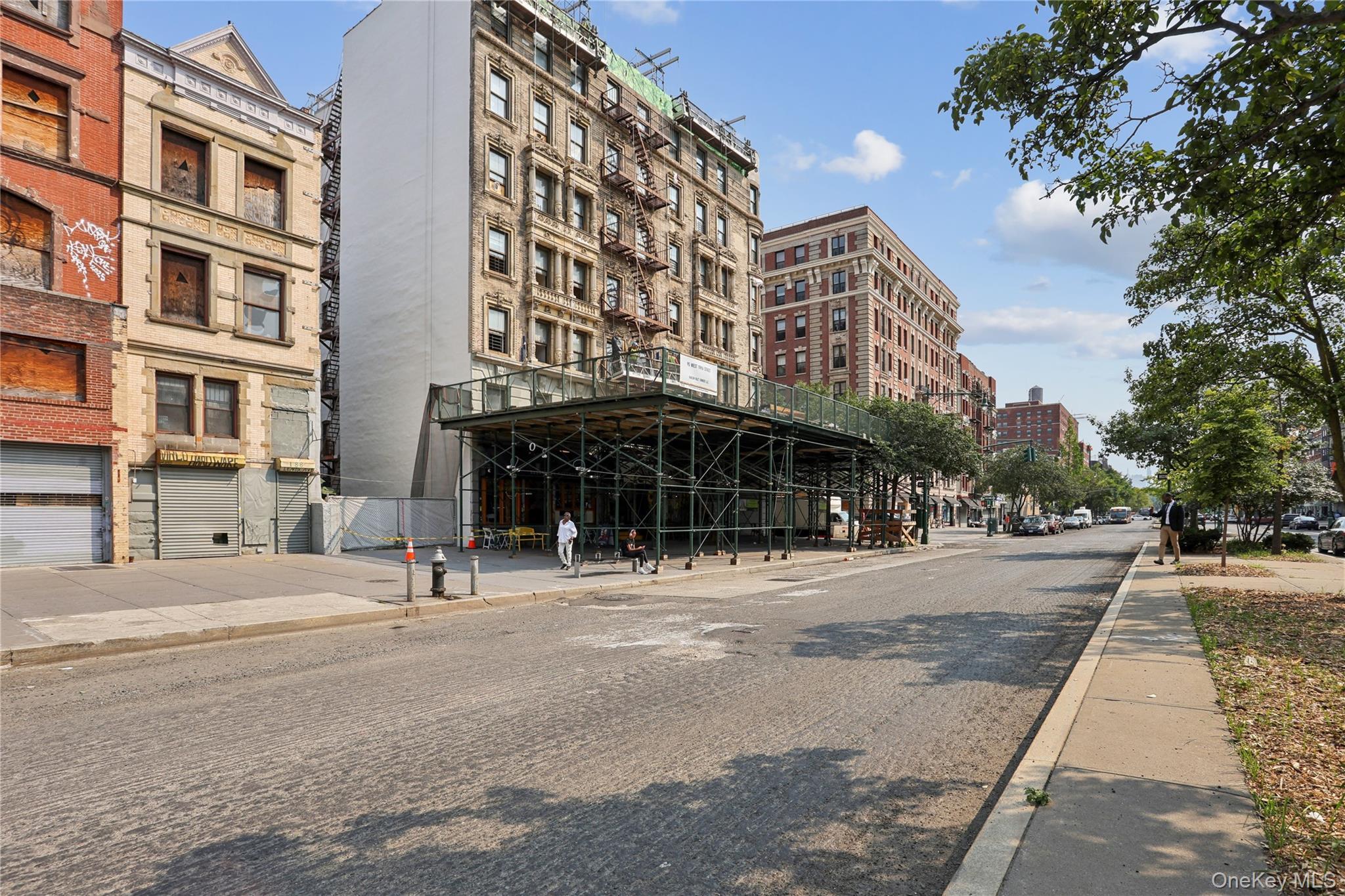 Single Family Lenox Avenue Manhattan, NY 10027, MLS-1032679-19