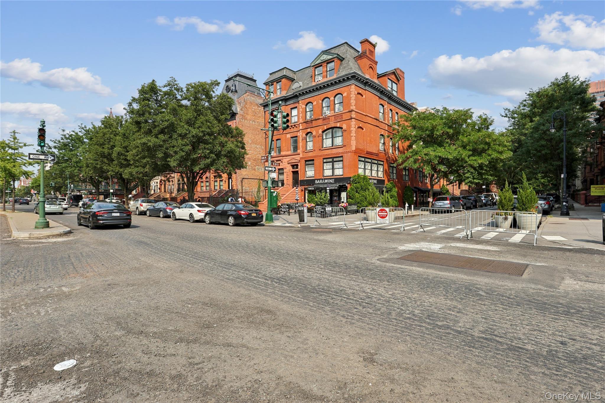 Single Family Lenox Avenue Manhattan, NY 10027, MLS-1032679-20