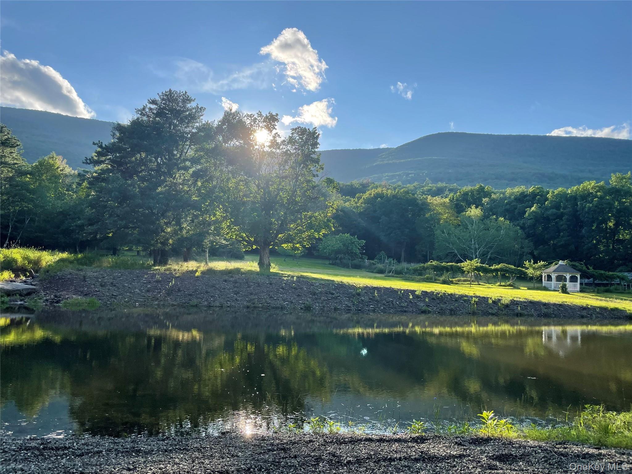 Single Family Augustine Road Ulster County, NY 12477, MLS-1032804-4