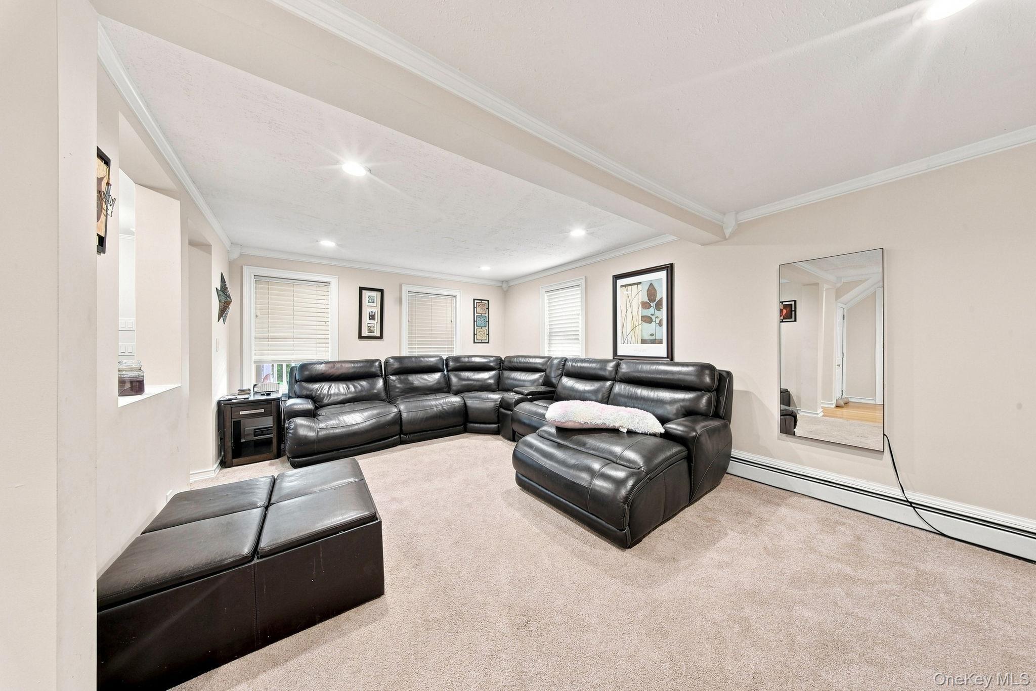Single Family Nelson Street Orange County, NY 10924, MLS-1032819-11