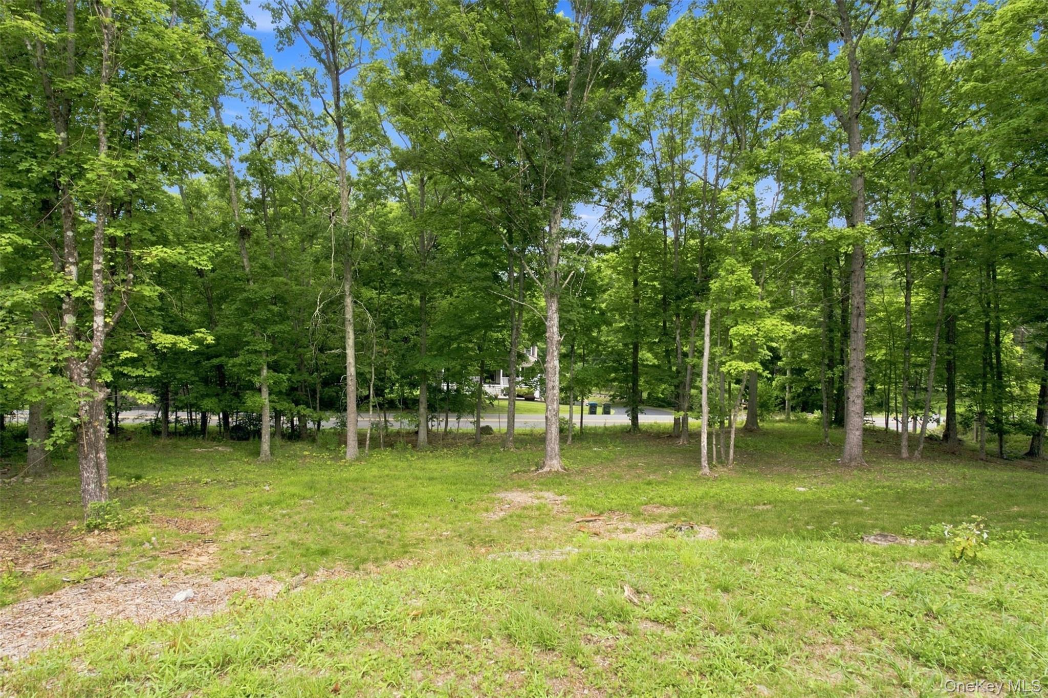 Single Family Twin Arch Road Orange County, NY 12575, MLS-1032934-40