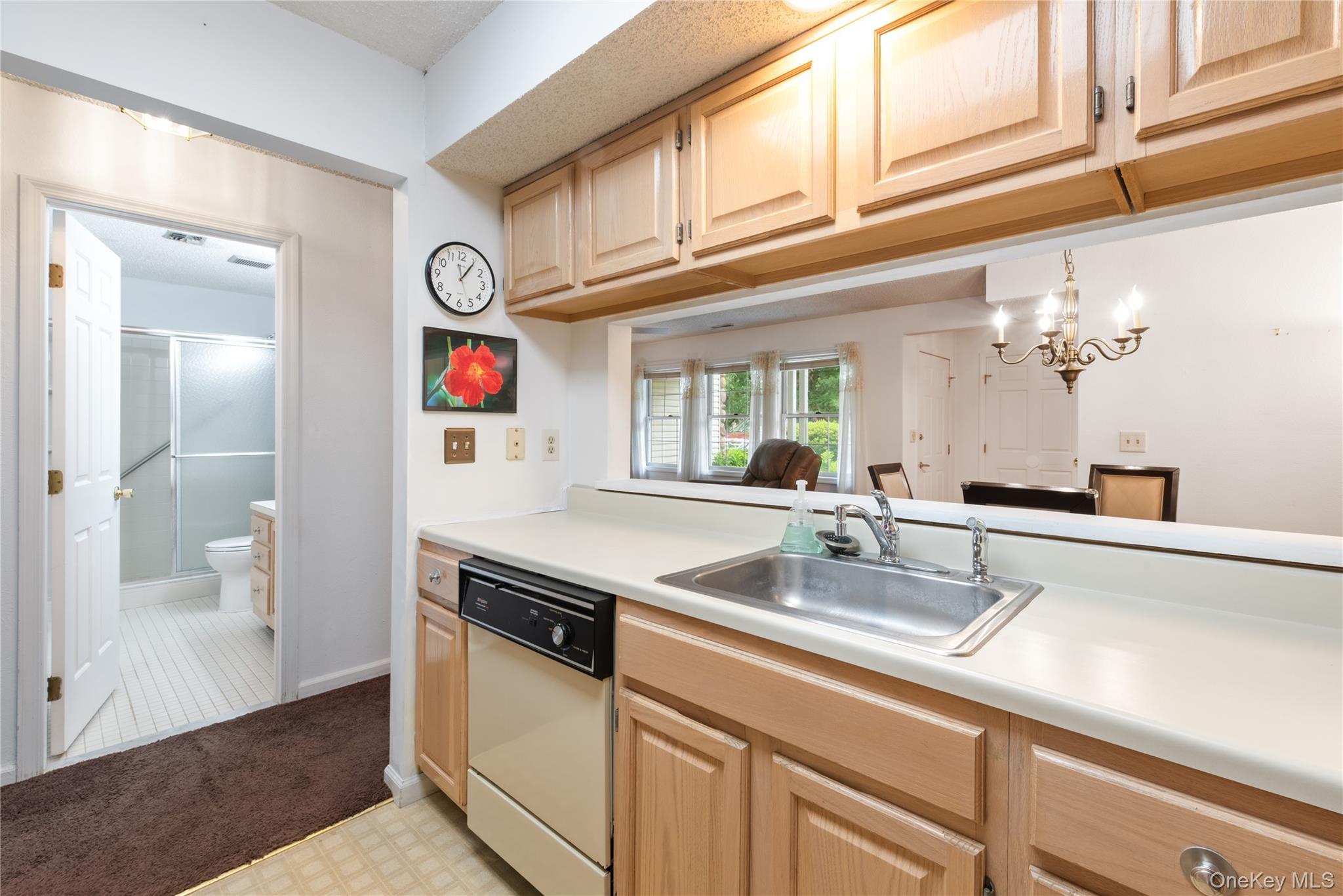Single Family Spruce Ridge Drive Dutchess County, NY 12524, MLS-1032937-12