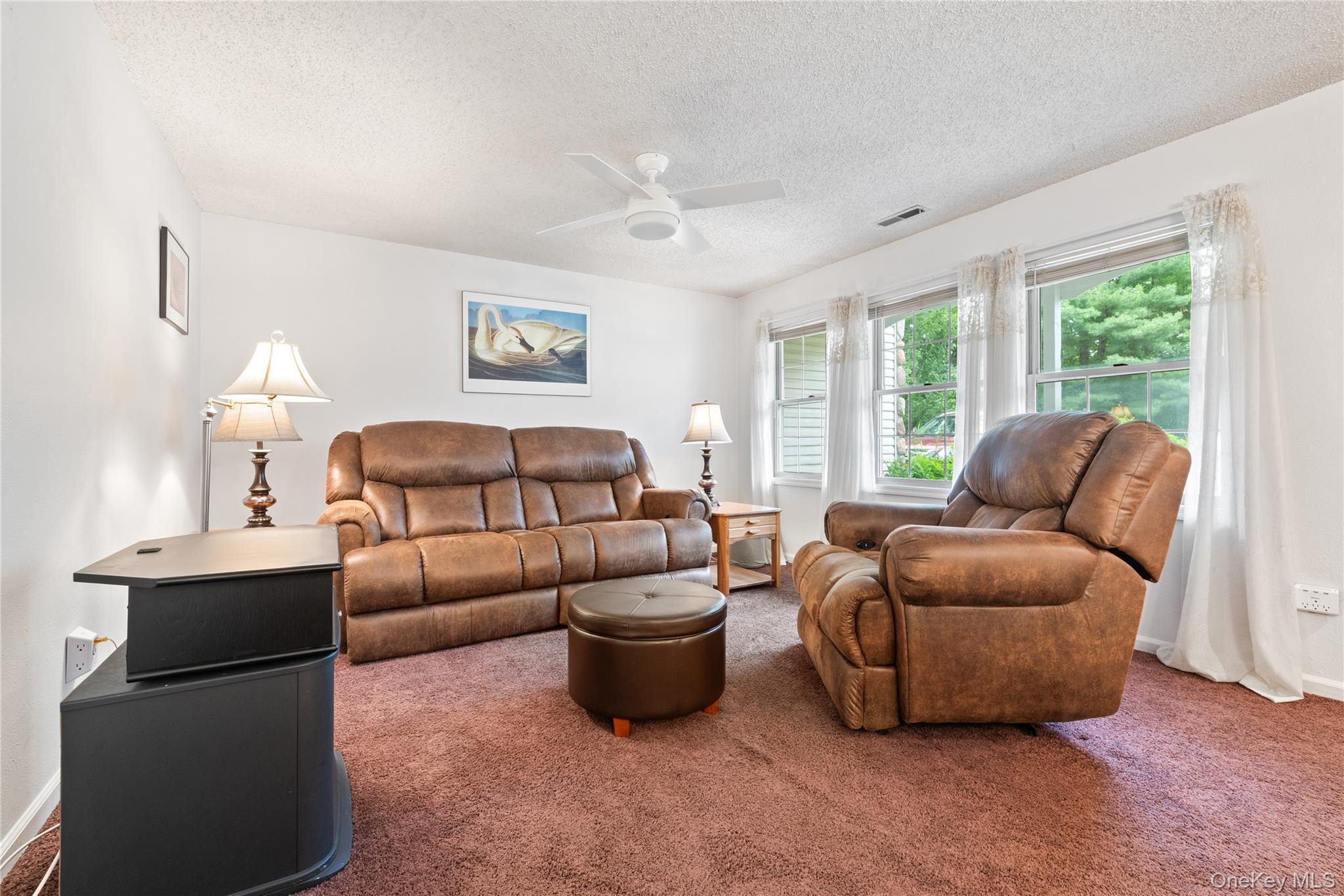 Single Family Spruce Ridge Drive Dutchess County, NY 12524, MLS-1032937-4