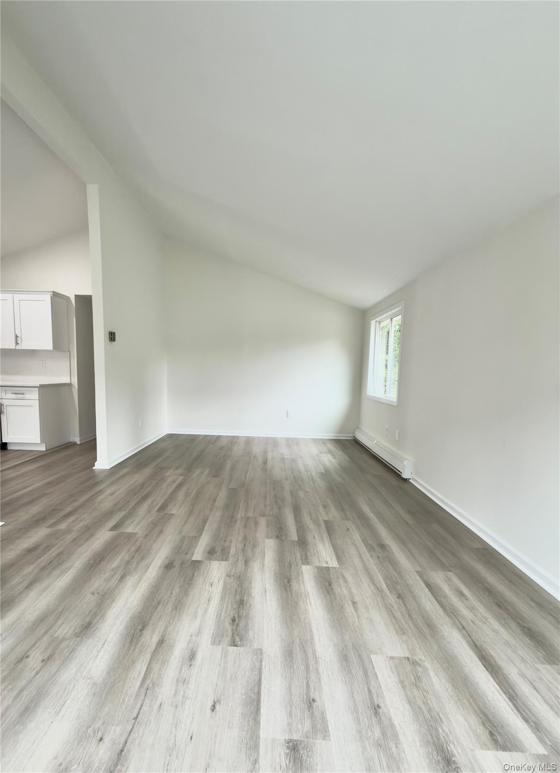Single Family Dorchester Road Suffolk County, NY 11779, MLS-1032949-4