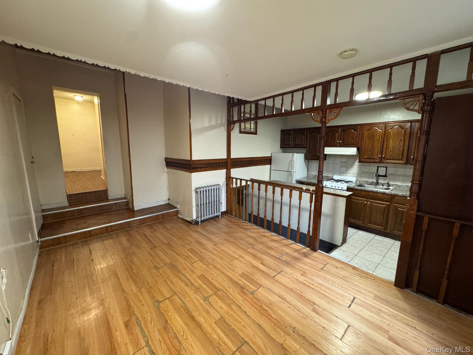 Single Family Elton Street Brooklyn, NY 11208, MLS-1032982-10