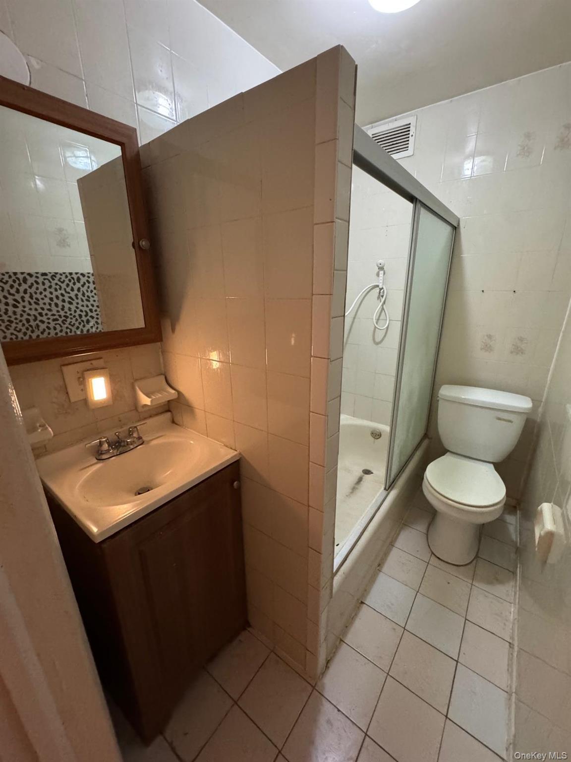 Single Family Elton Street Brooklyn, NY 11208, MLS-1032982-12