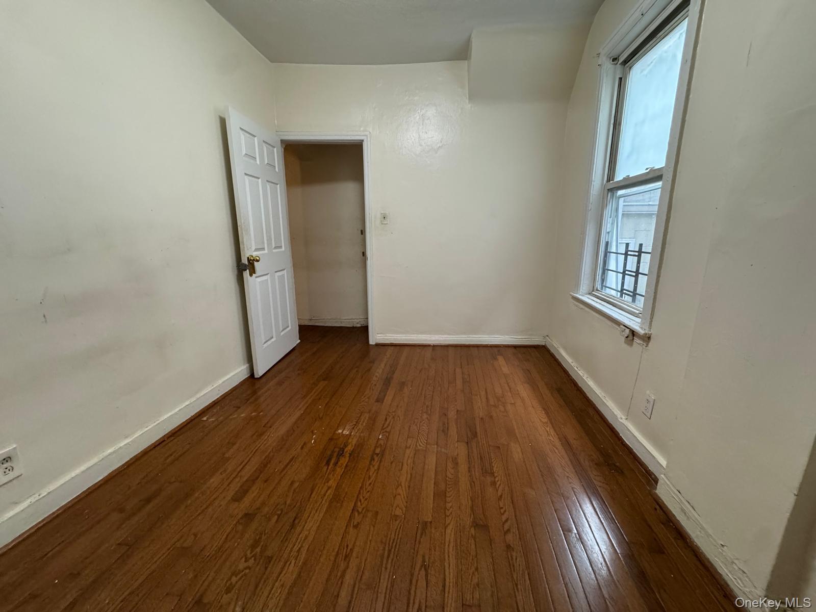 Single Family Elton Street Brooklyn, NY 11208, MLS-1032982-13