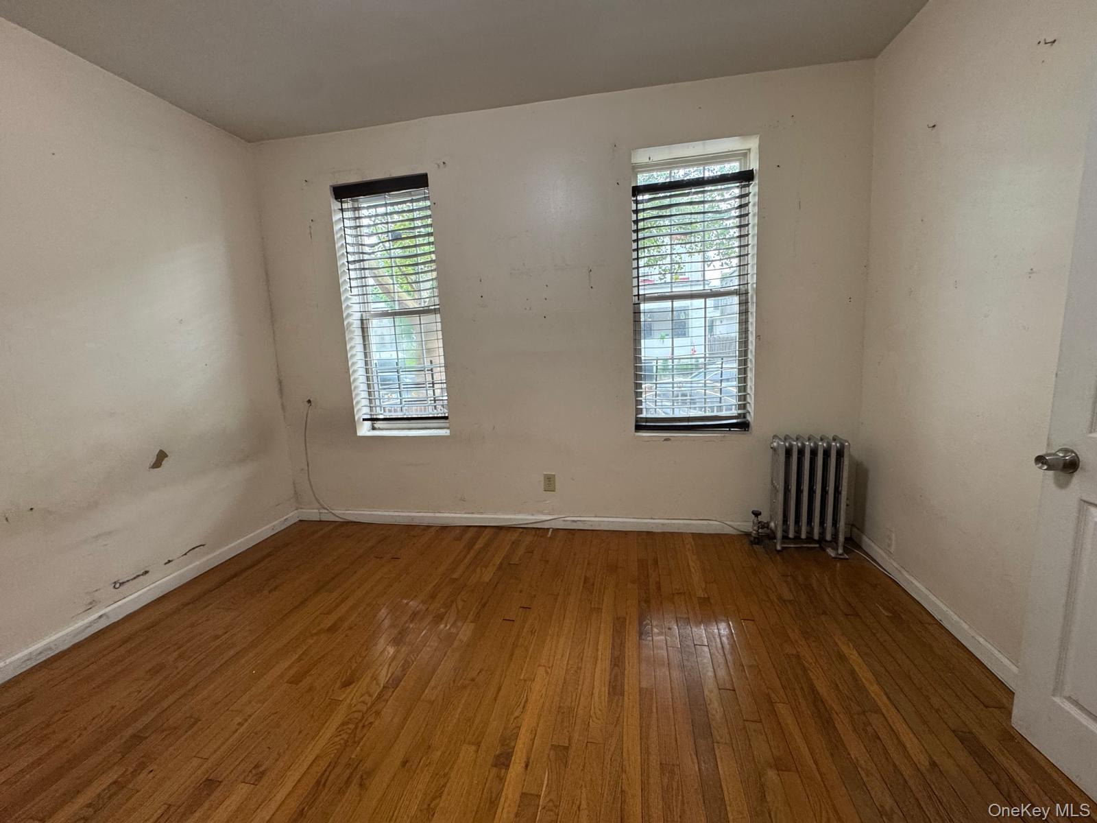Single Family Elton Street Brooklyn, NY 11208, MLS-1032982-15