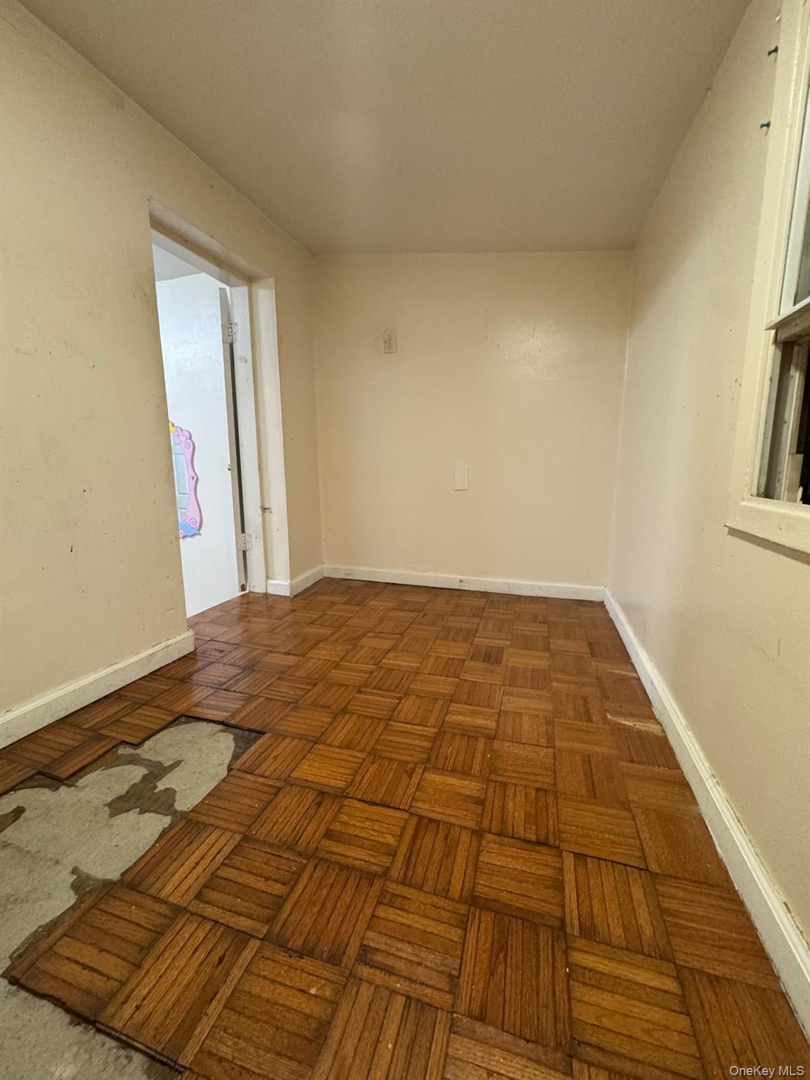 Single Family Elton Street Brooklyn, NY 11208, MLS-1032982-18