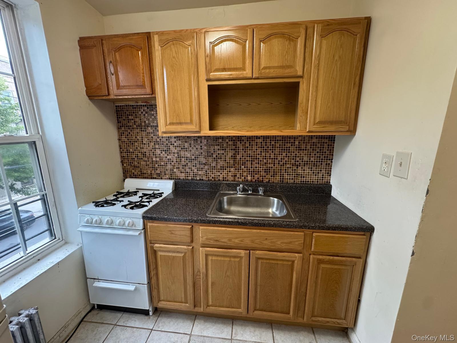 Single Family Elton Street Brooklyn, NY 11208, MLS-1032982-20
