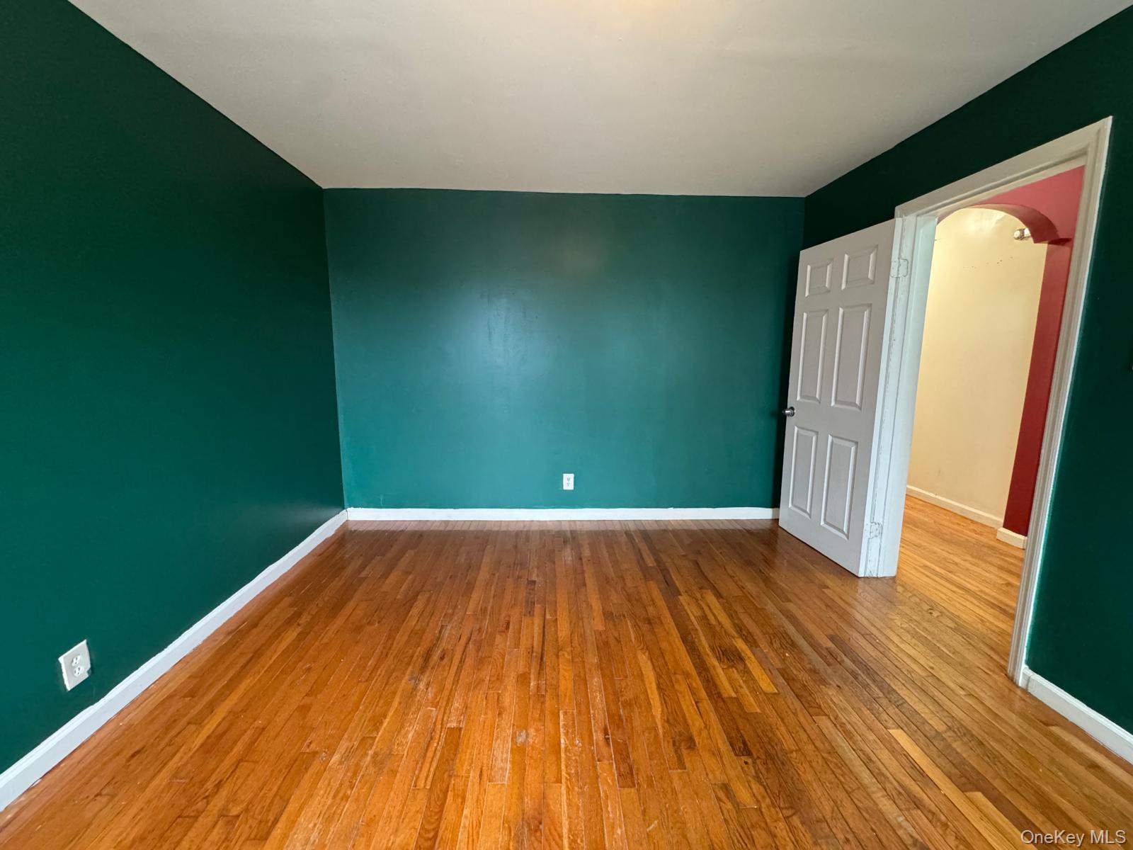 Single Family Elton Street Brooklyn, NY 11208, MLS-1032982-25