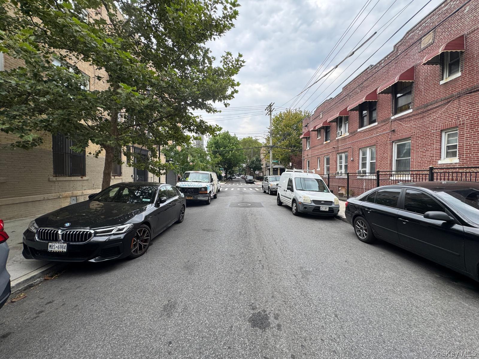Single Family Elton Street Brooklyn, NY 11208, MLS-1032982-4