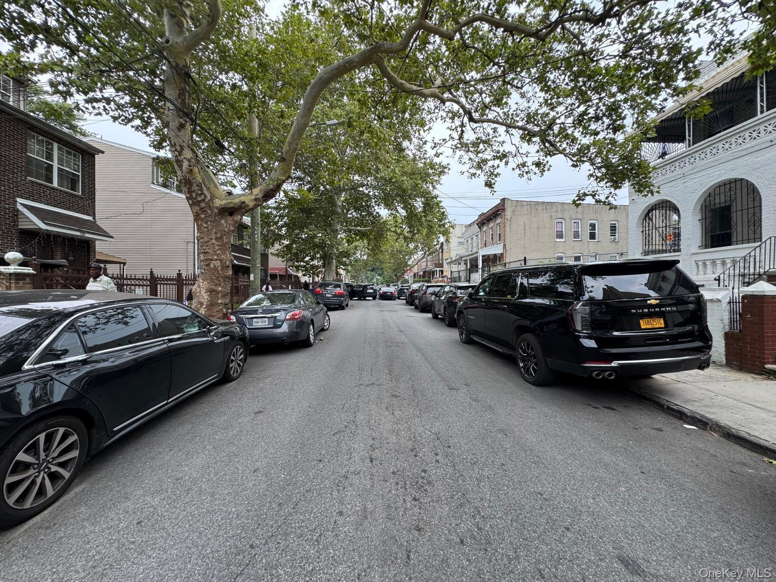 Single Family Elton Street Brooklyn, NY 11208, MLS-1032982-5