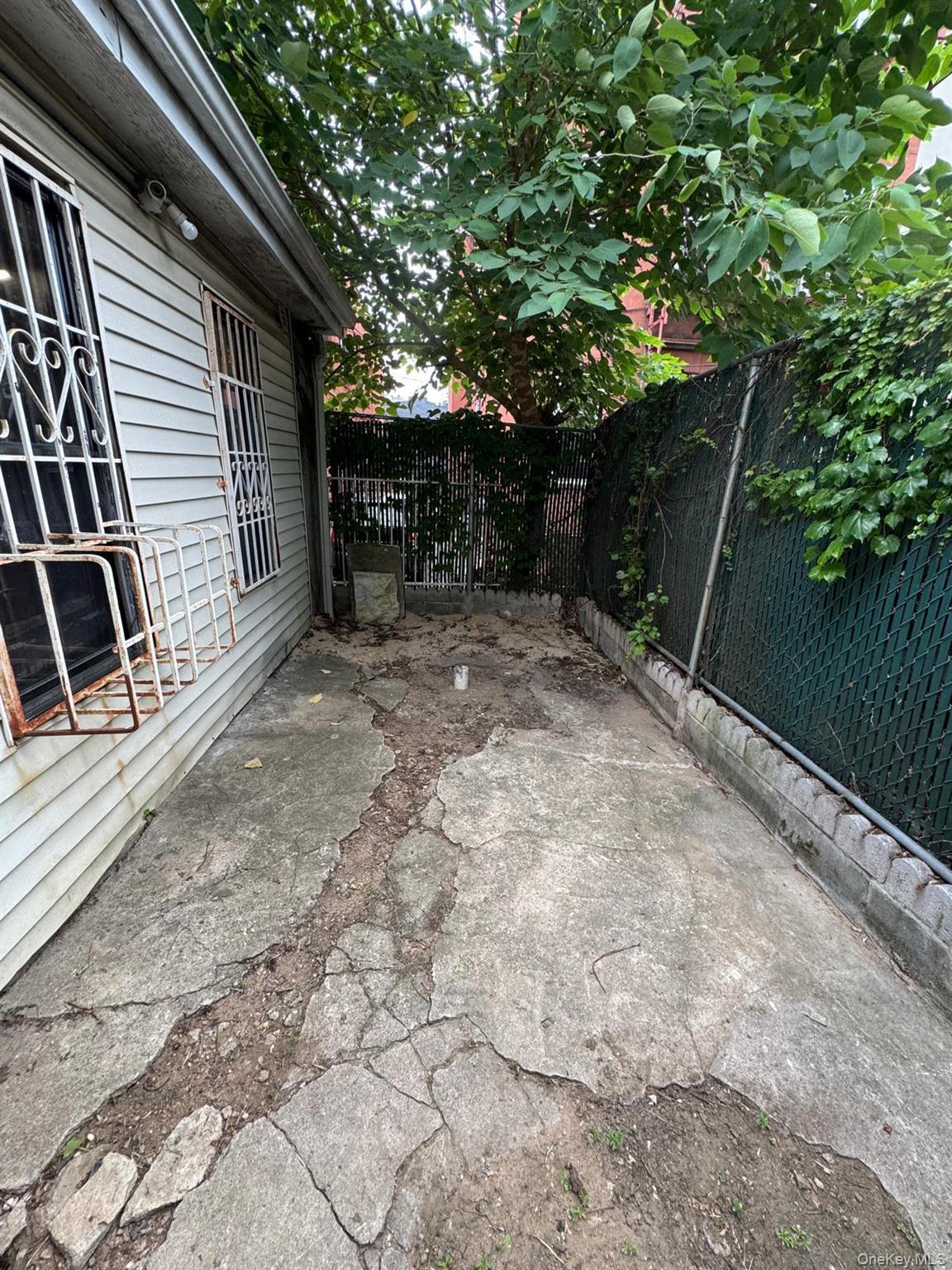 Single Family Elton Street Brooklyn, NY 11208, MLS-1032982-7