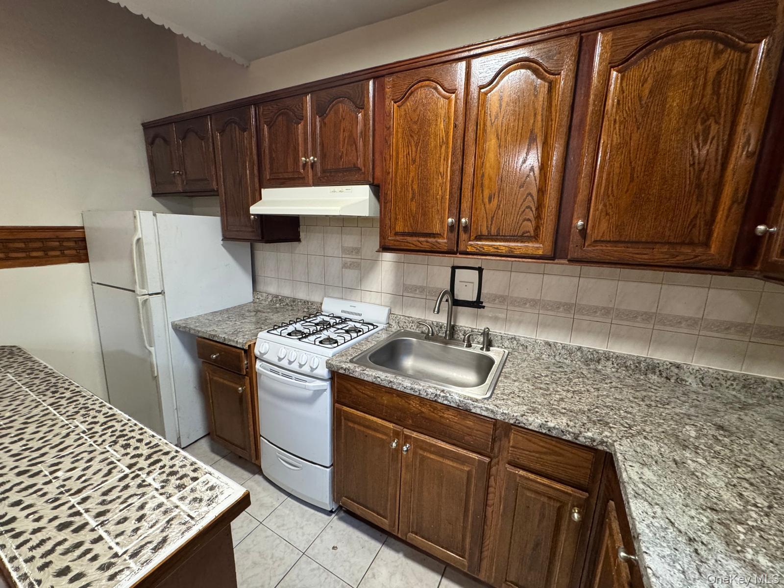 Single Family Elton Street Brooklyn, NY 11208, MLS-1032982-8