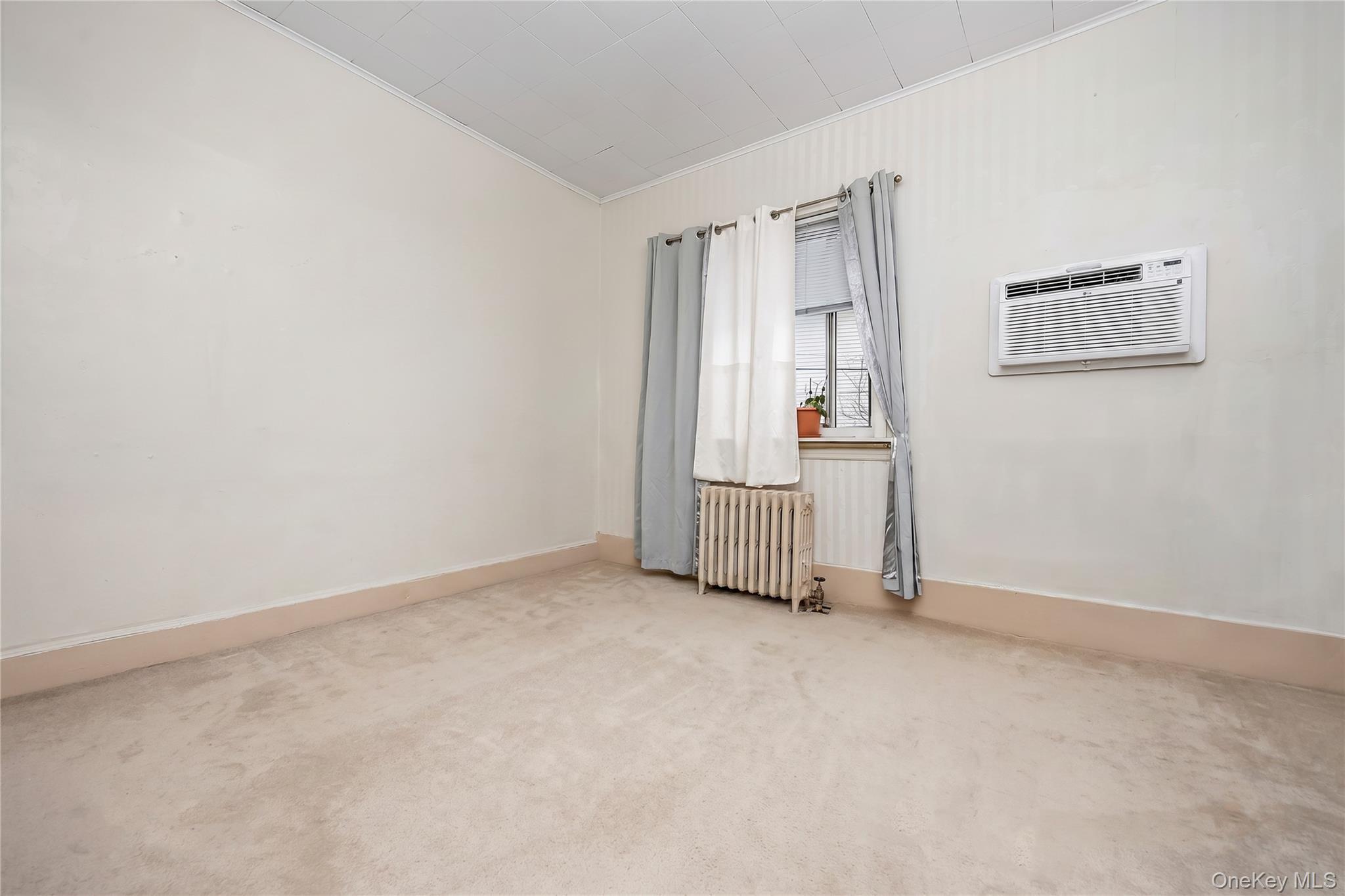 Single Family Pitkin Avenue Queens, NY 11417, MLS-1032995-10