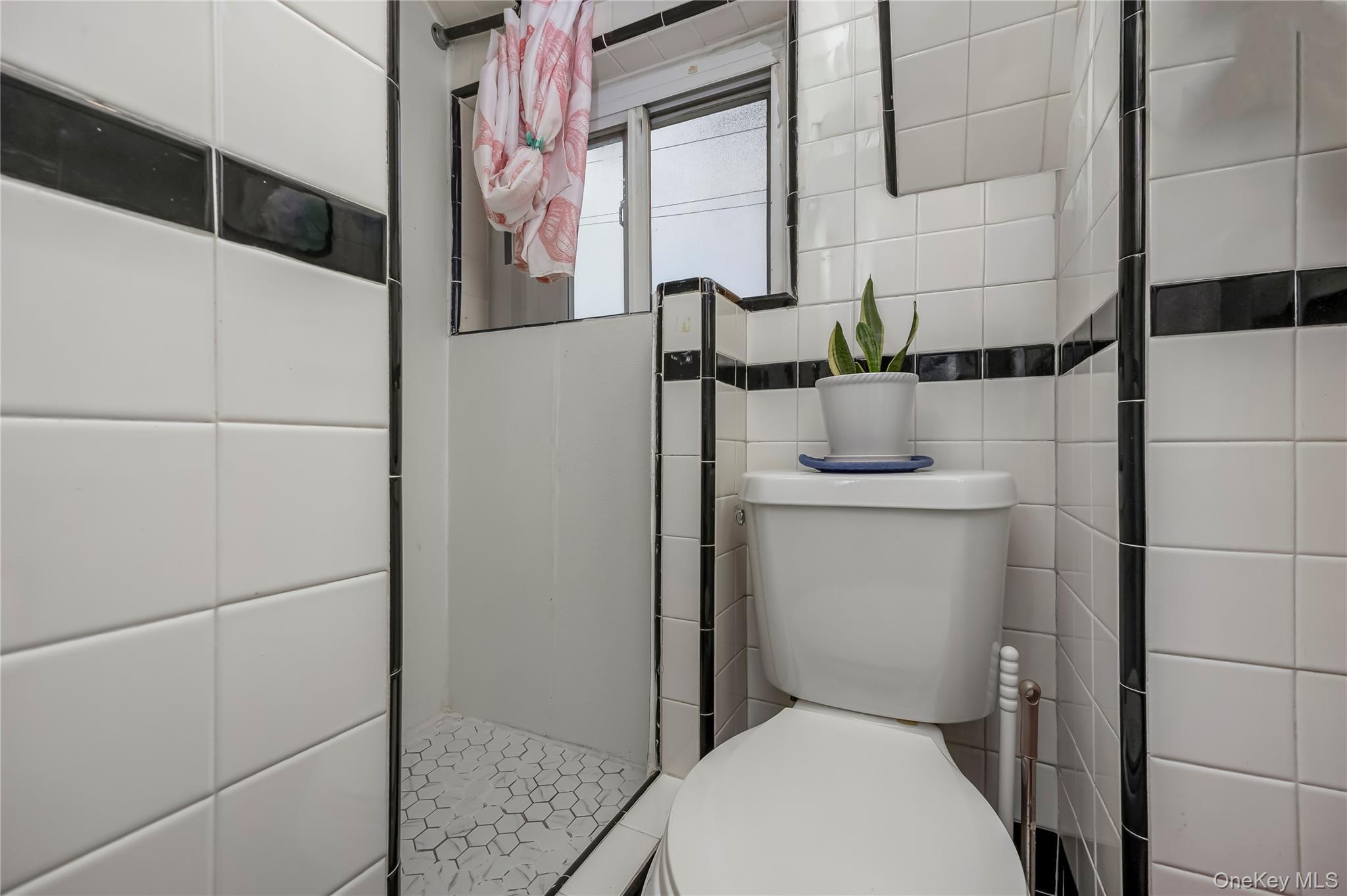 Single Family Pitkin Avenue Queens, NY 11417, MLS-1032995-11