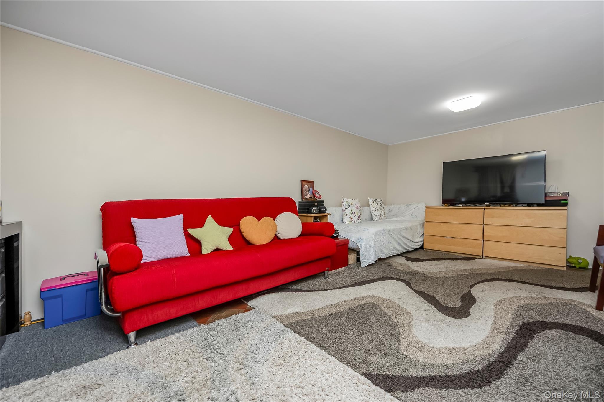 Single Family Pitkin Avenue Queens, NY 11417, MLS-1032995-14