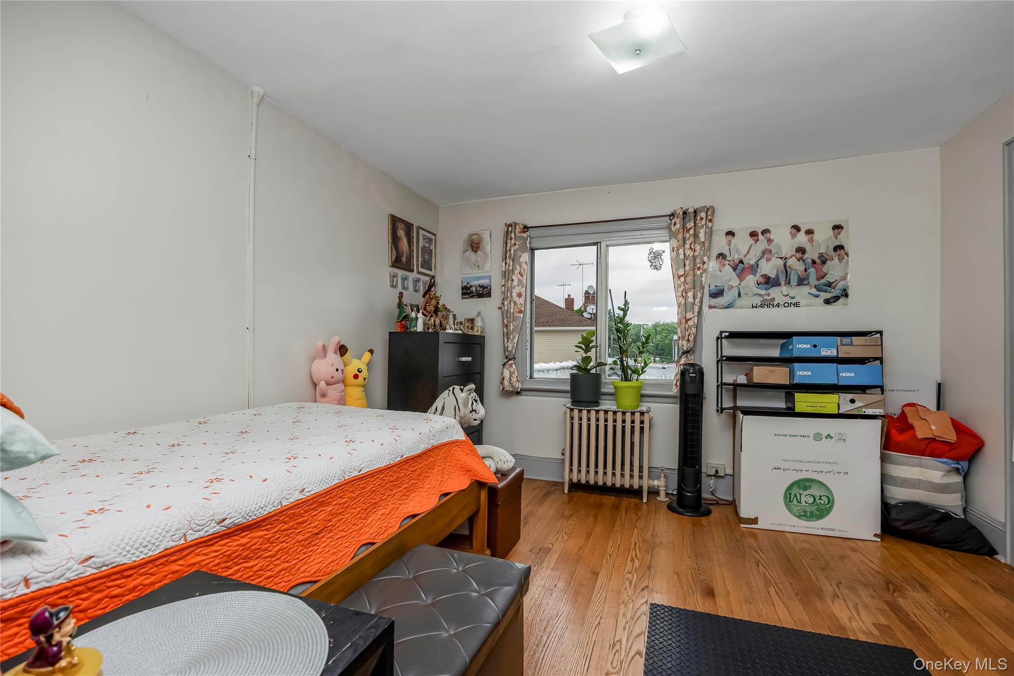 Single Family Pitkin Avenue Queens, NY 11417, MLS-1032995-15