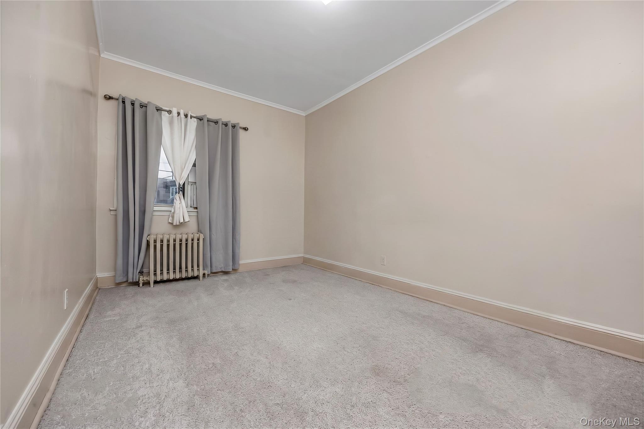 Single Family Pitkin Avenue Queens, NY 11417, MLS-1032995-9