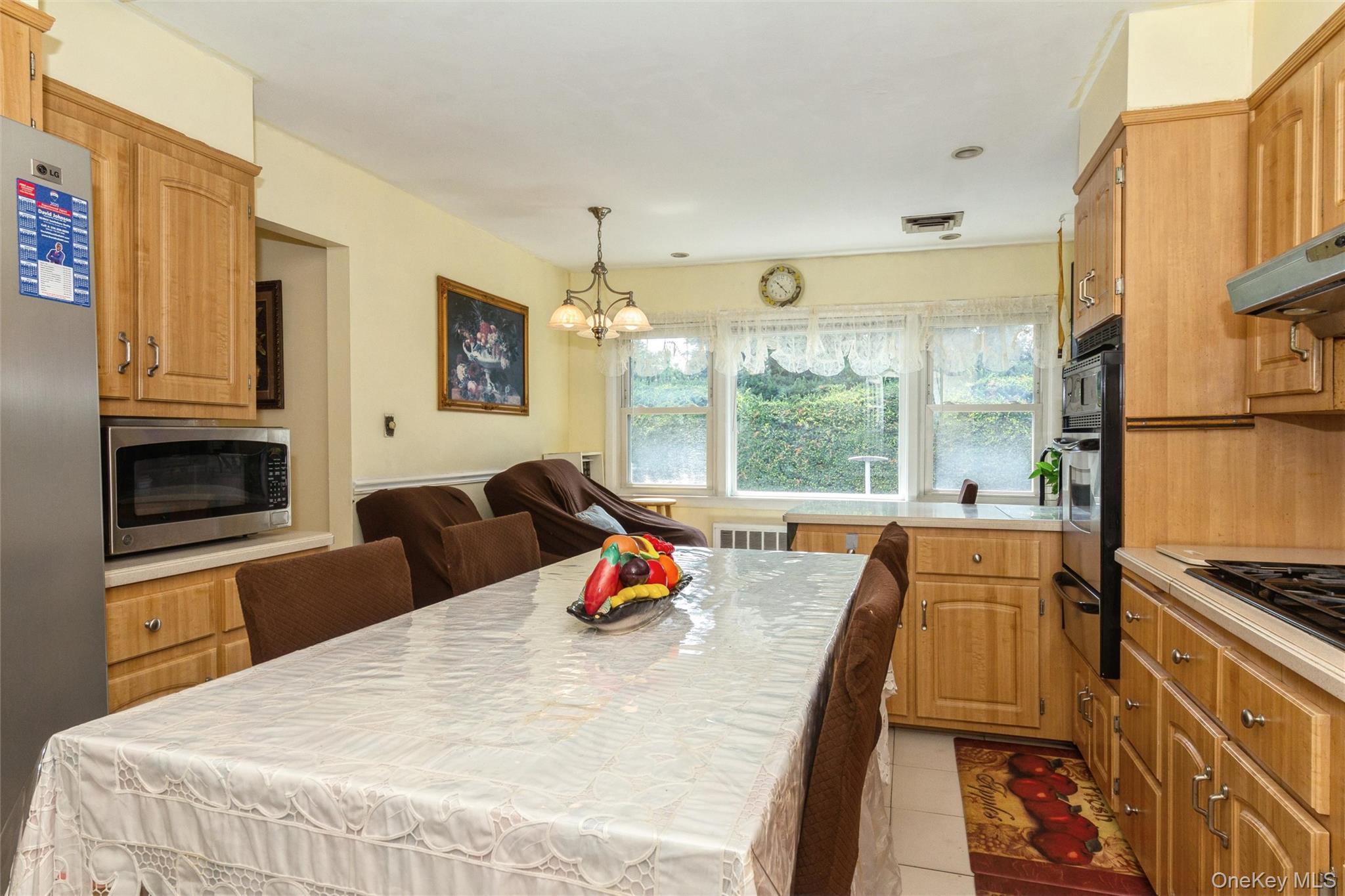 Single Family E Carl Avenue Nassau County, NY 11510, MLS-1033017-10