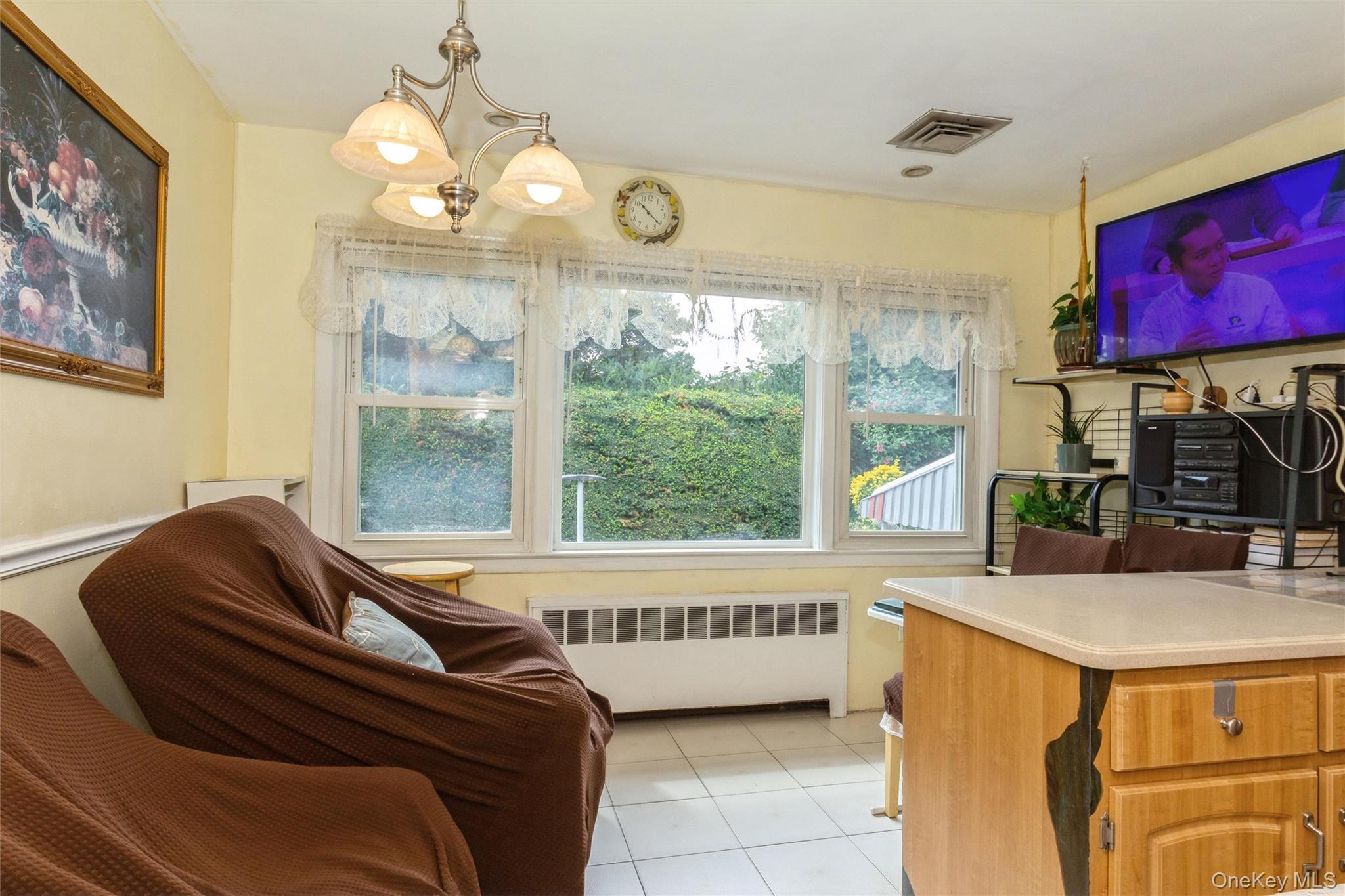 Single Family E Carl Avenue Nassau County, NY 11510, MLS-1033017-22