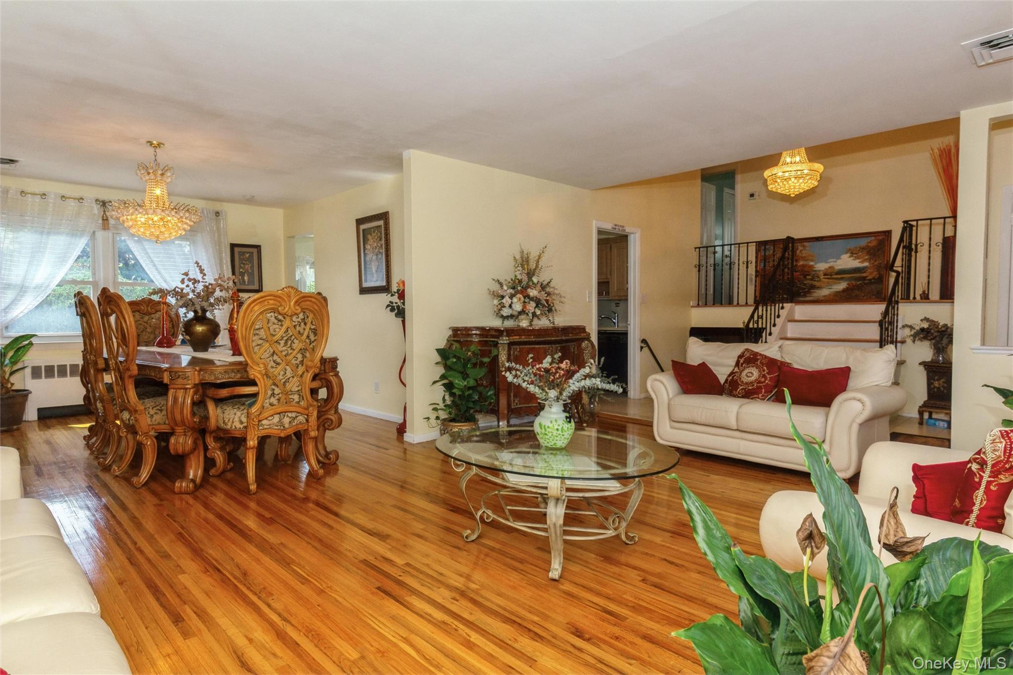 Single Family E Carl Avenue Nassau County, NY 11510, MLS-1033017-7