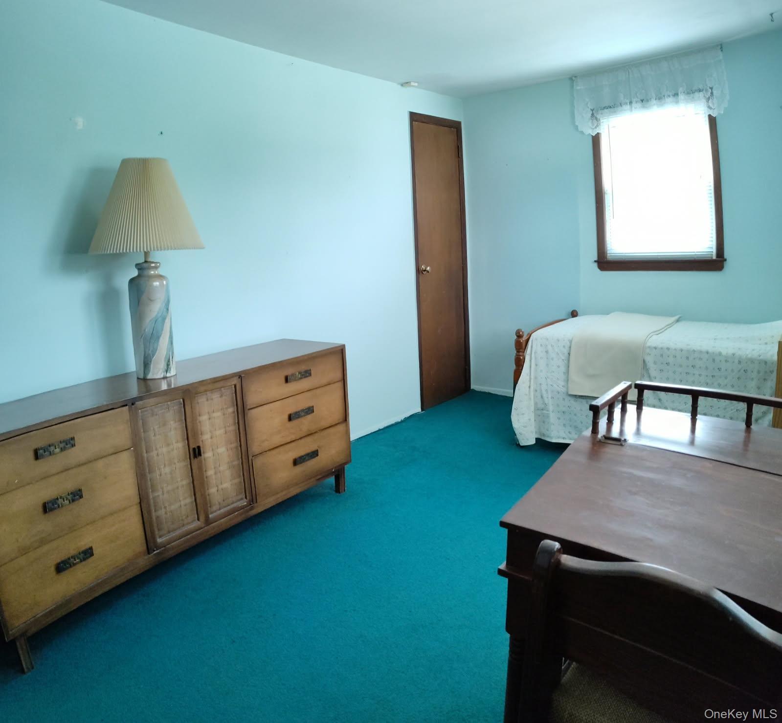 Single Family Margaret Drive E Nassau County, NY 11803, MLS-1033051-13