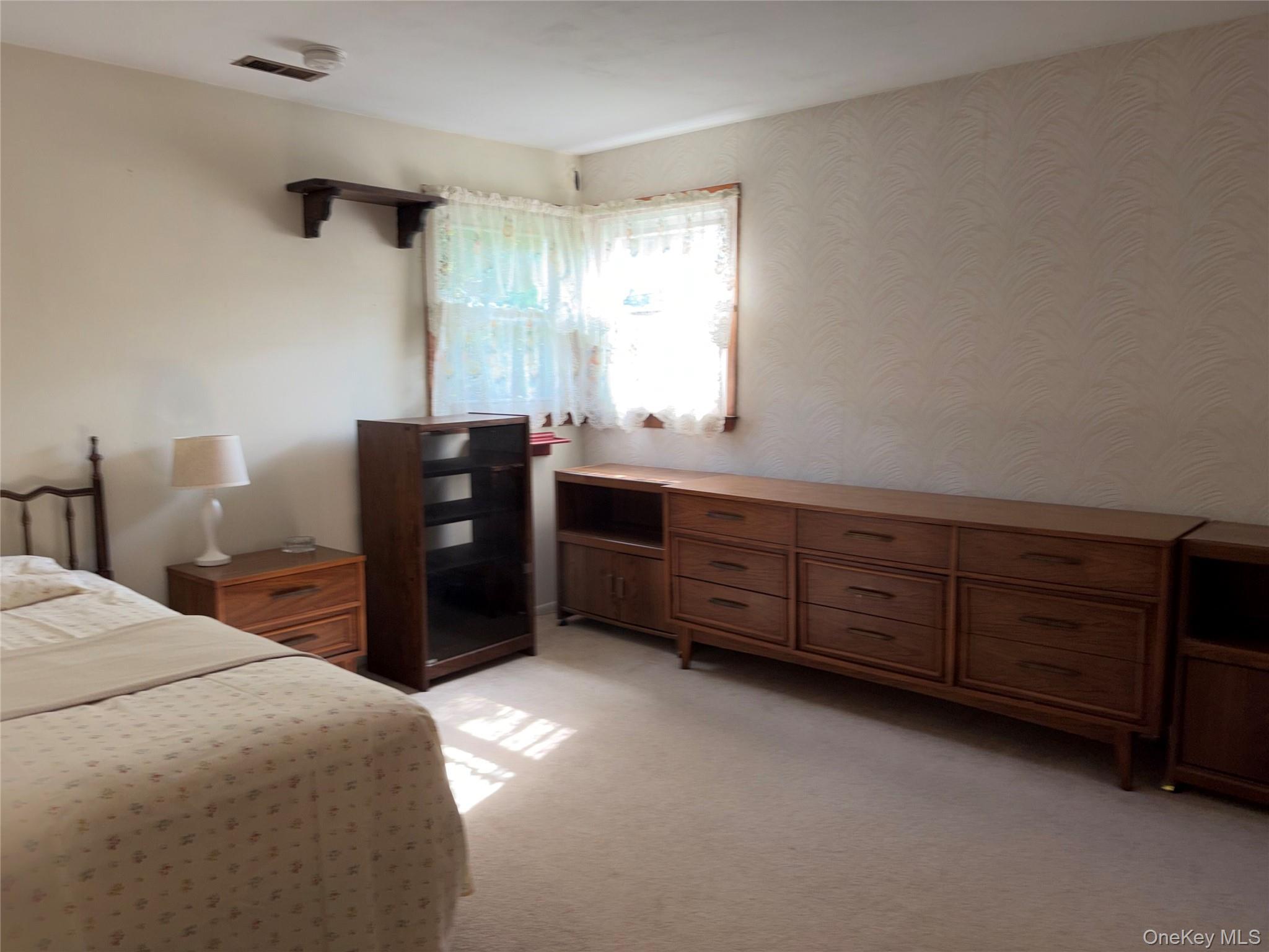 Single Family Margaret Drive E Nassau County, NY 11803, MLS-1033051-14