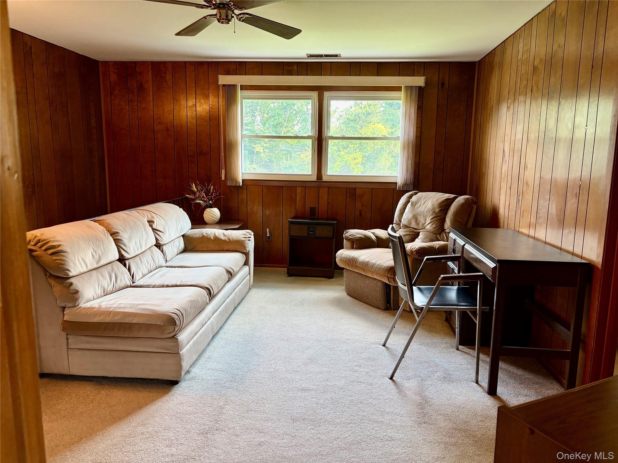 Single Family Margaret Drive E Nassau County, NY 11803, MLS-1033051-15