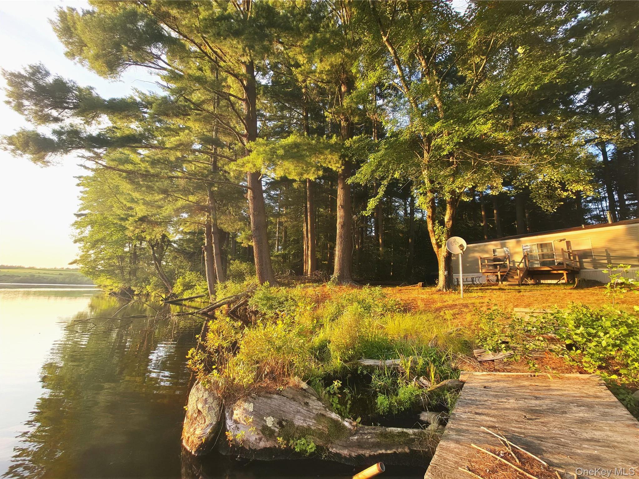 Single Family George Segar Road Sullivan County, NY 12783, MLS-1033069-2