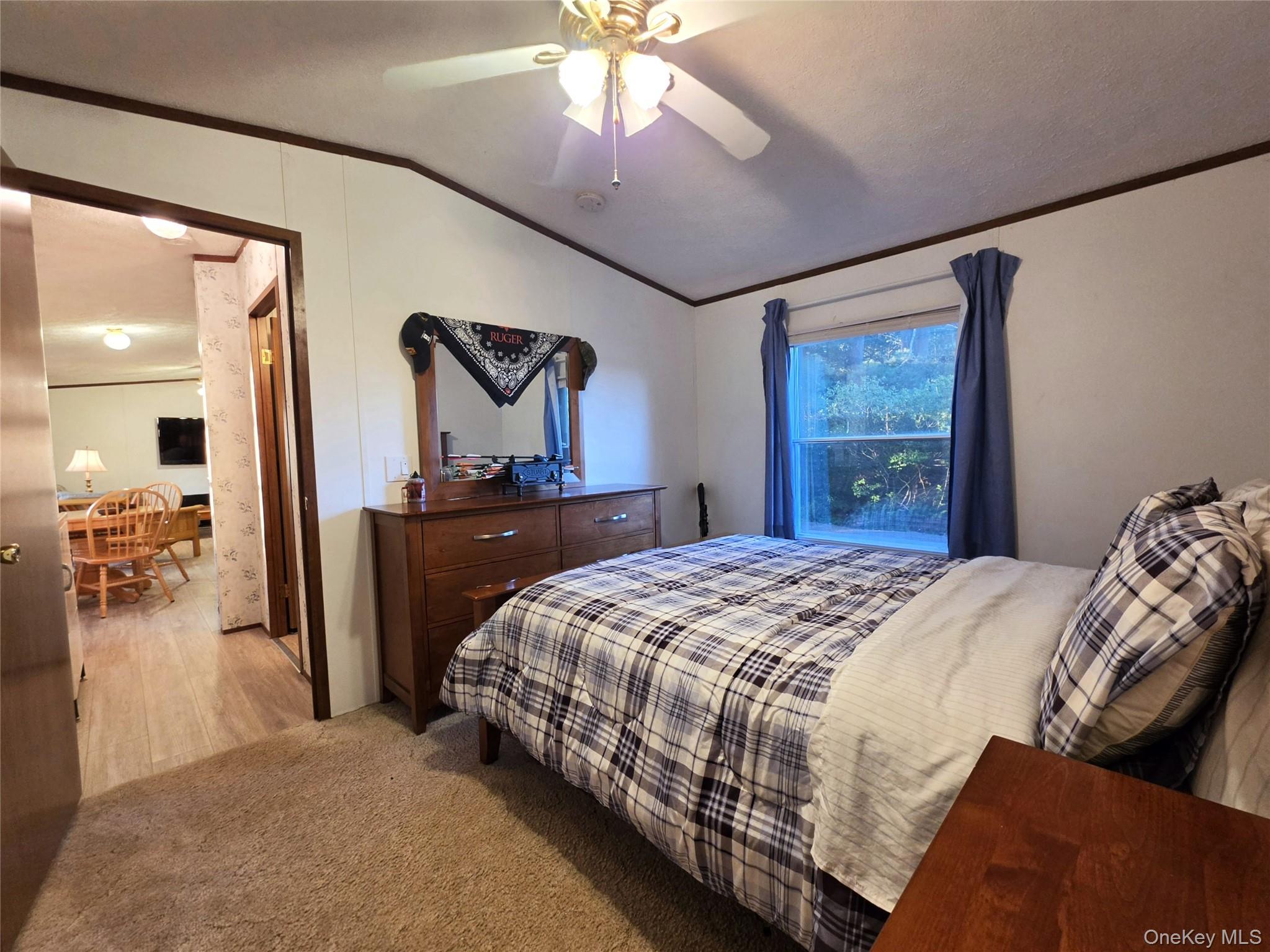 Single Family George Segar Road Sullivan County, NY 12783, MLS-1033069-20